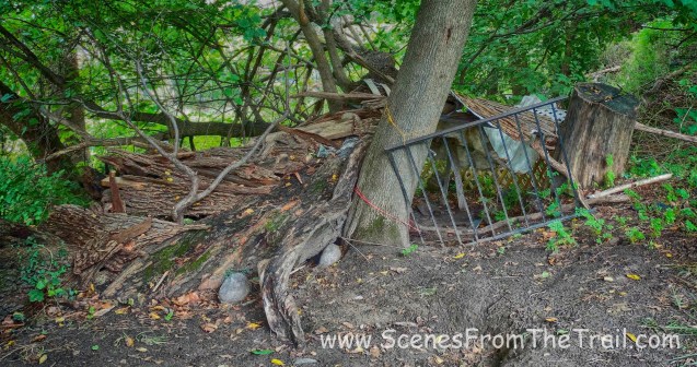 shelter along the trail