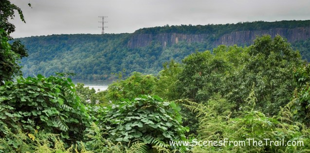 Palisades and the Hudson River