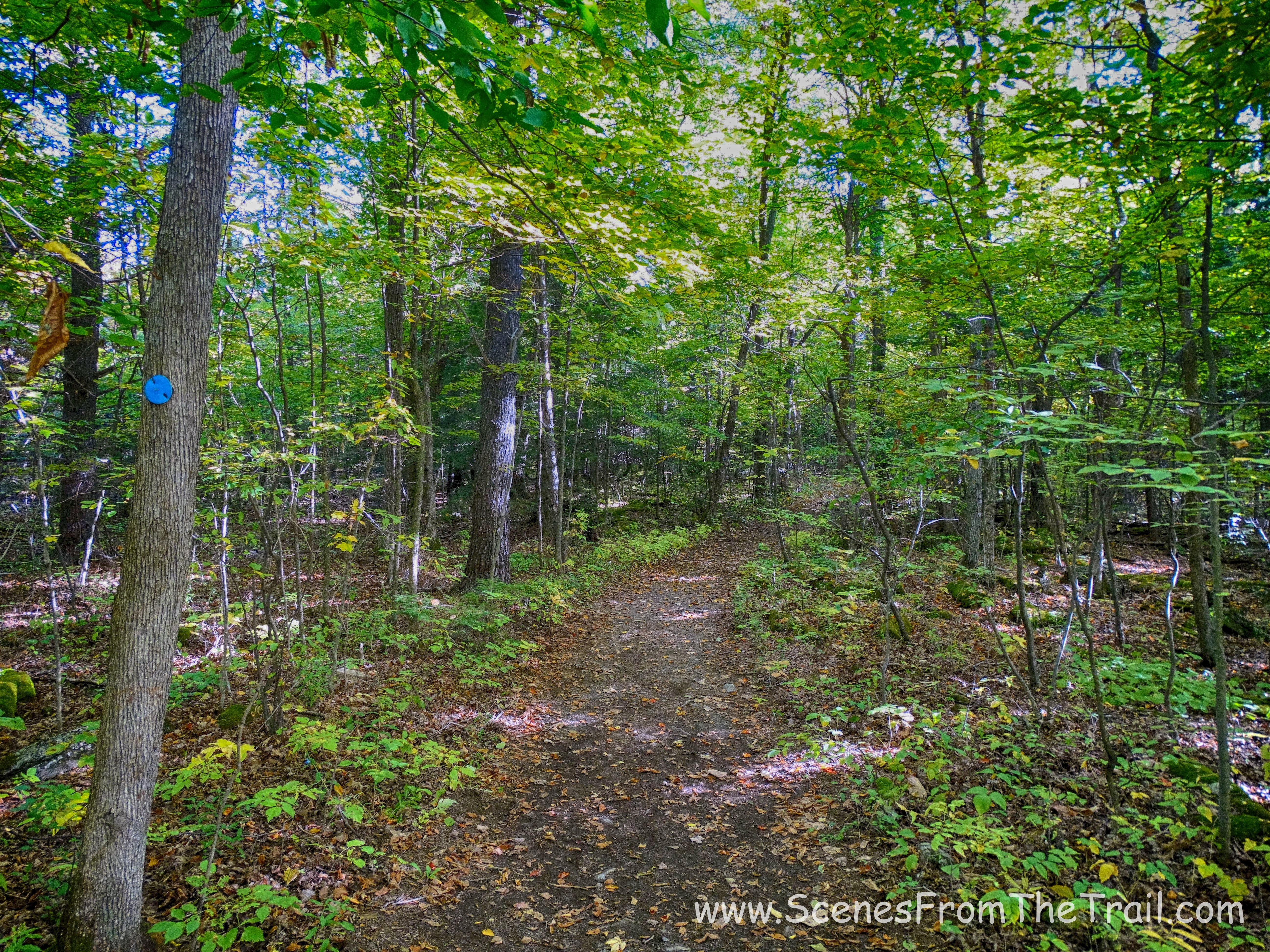 Blue Trail