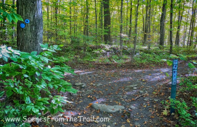 W-6 White Connector trail