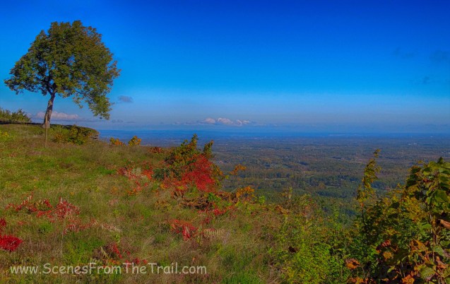 Cliff Edge Overlook