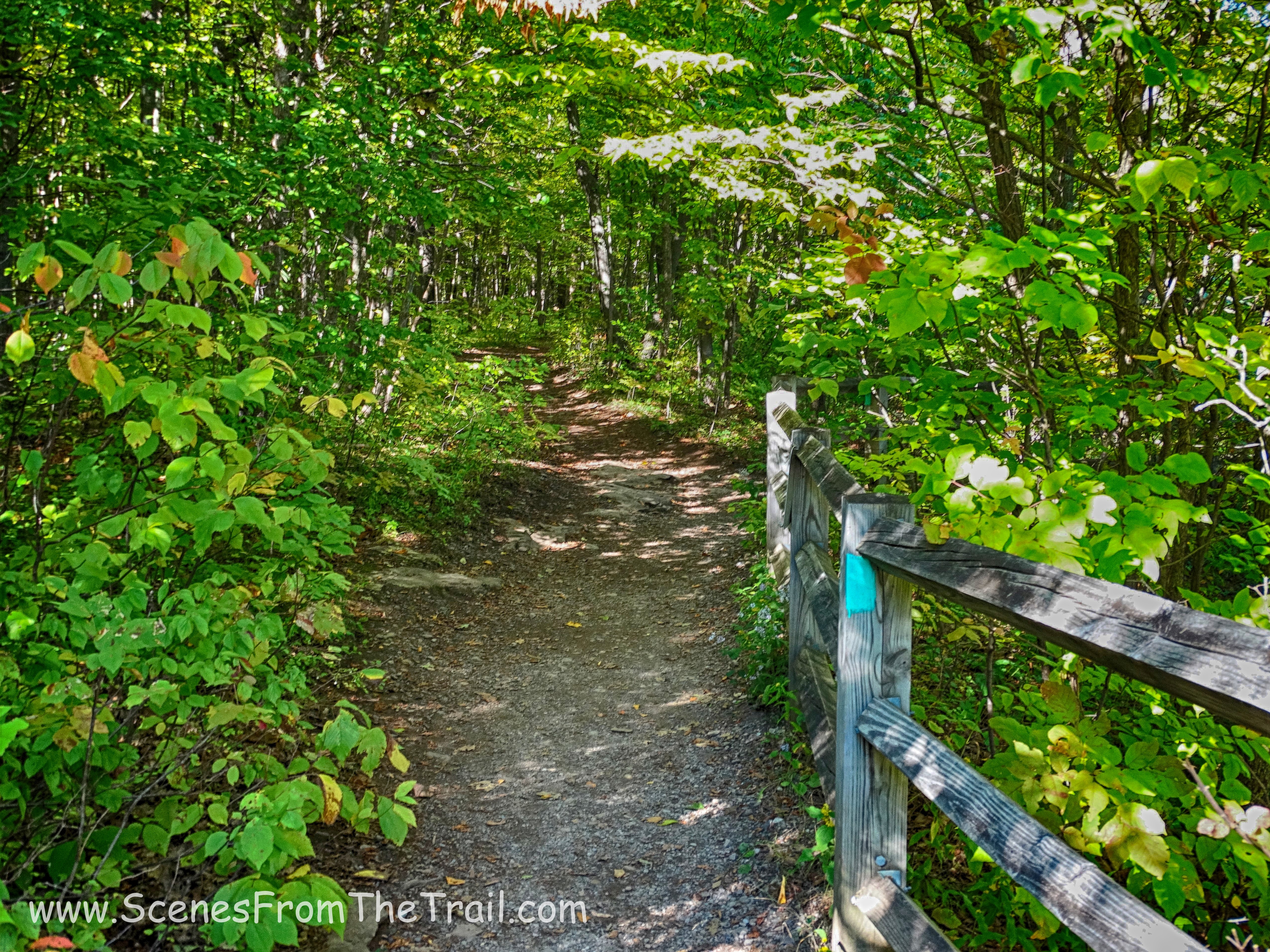 Long Path/escarpment trail