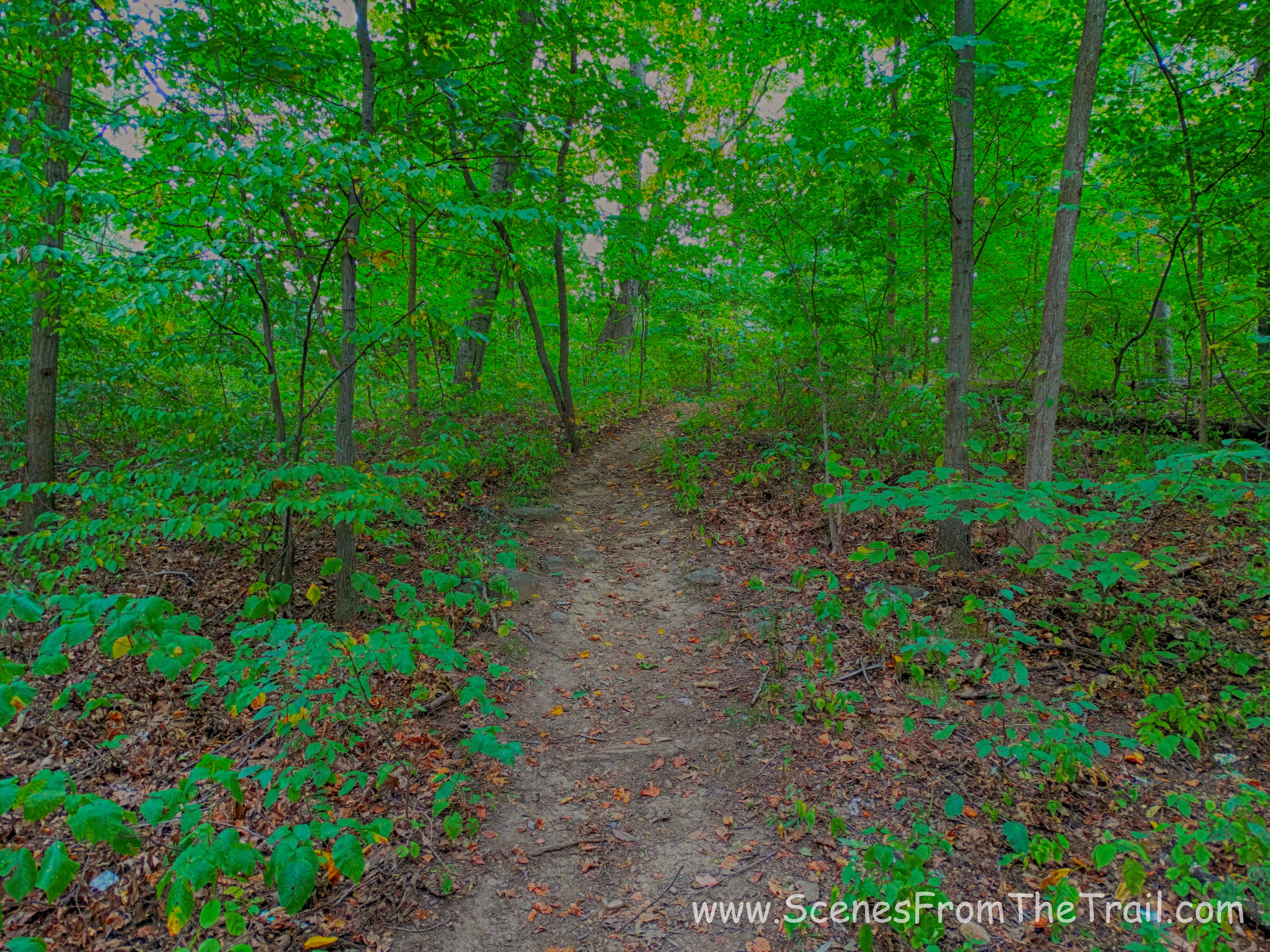 trail from the parking area
