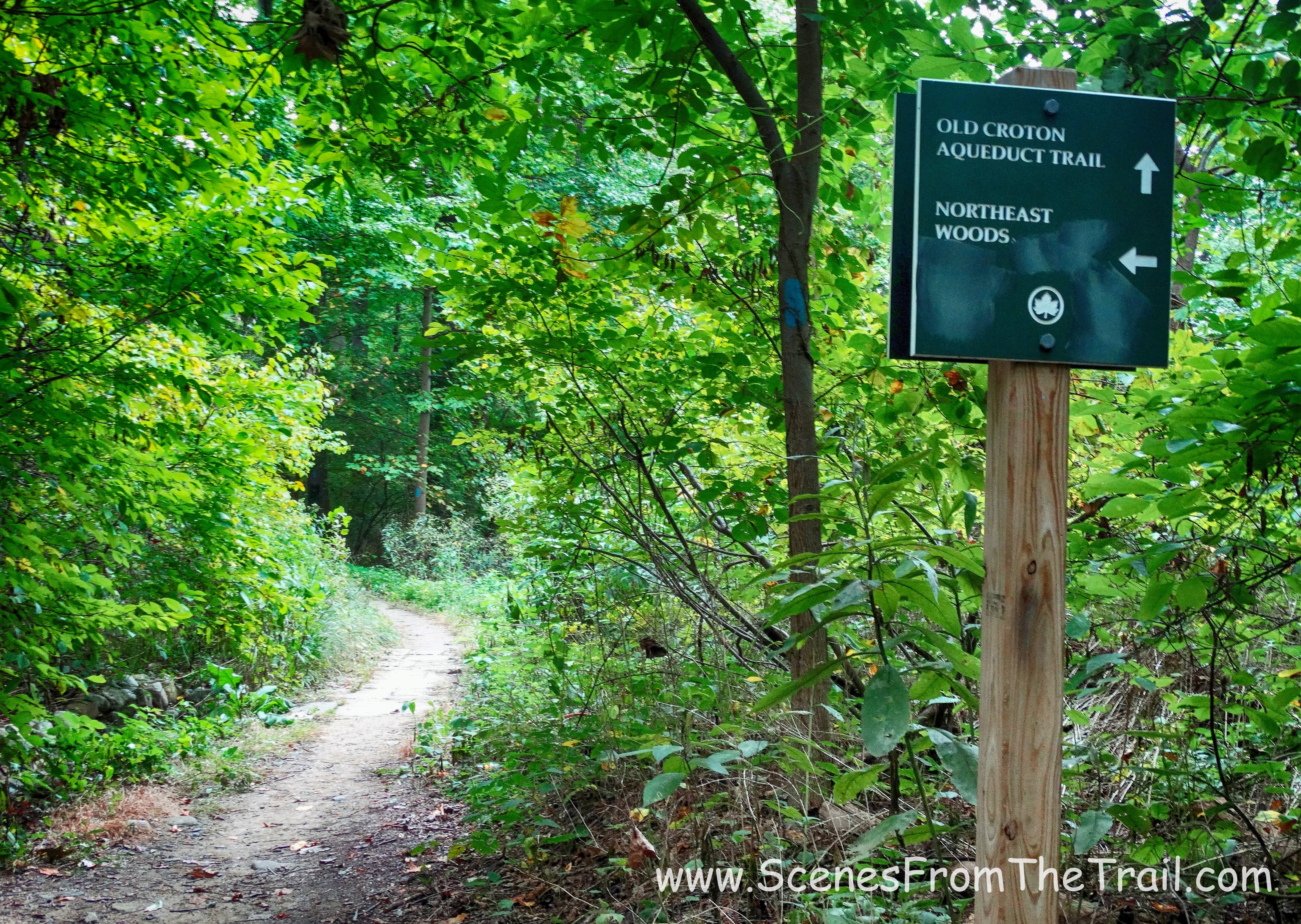 OCA - Van Cortlandt Park
