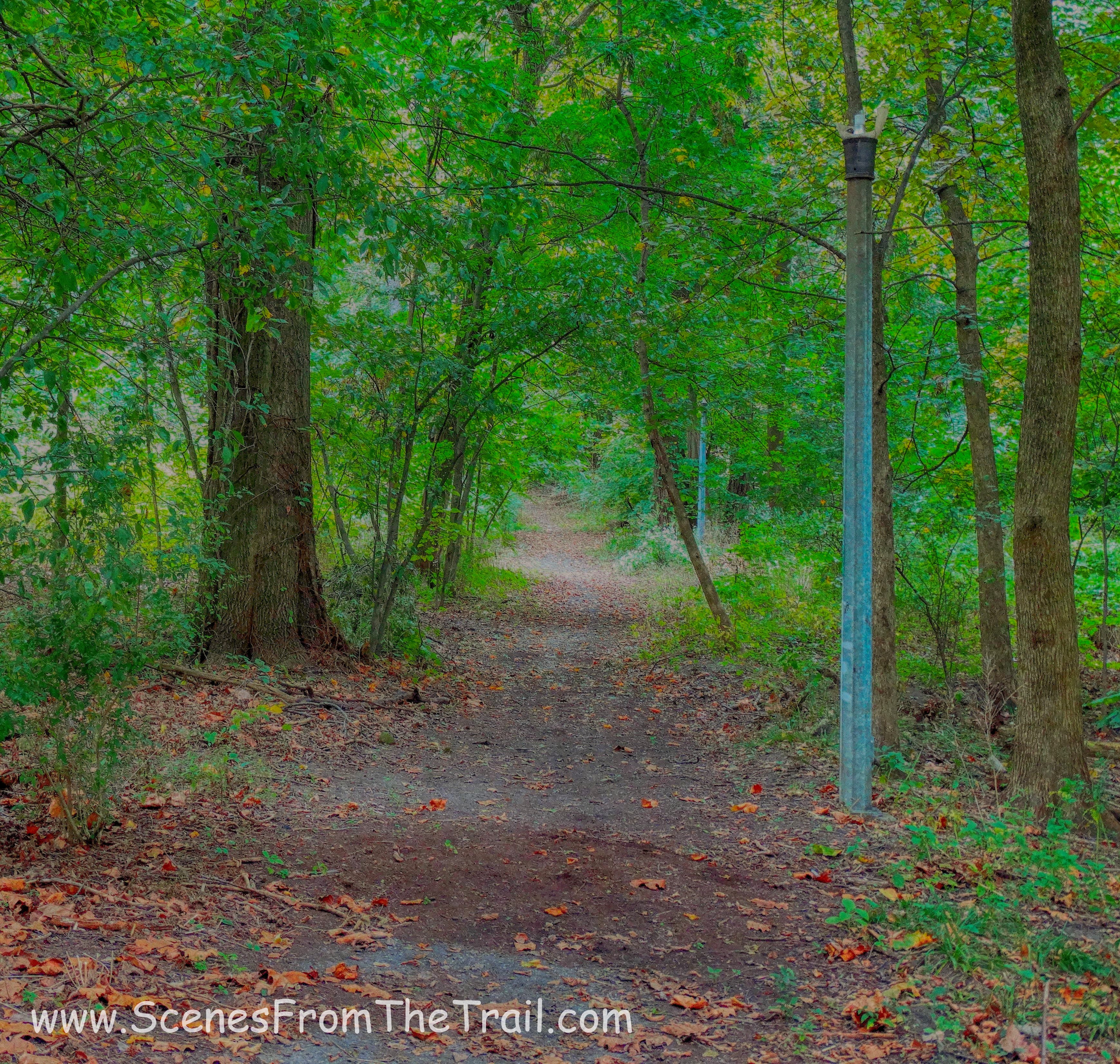 Van Cortlandt Park
