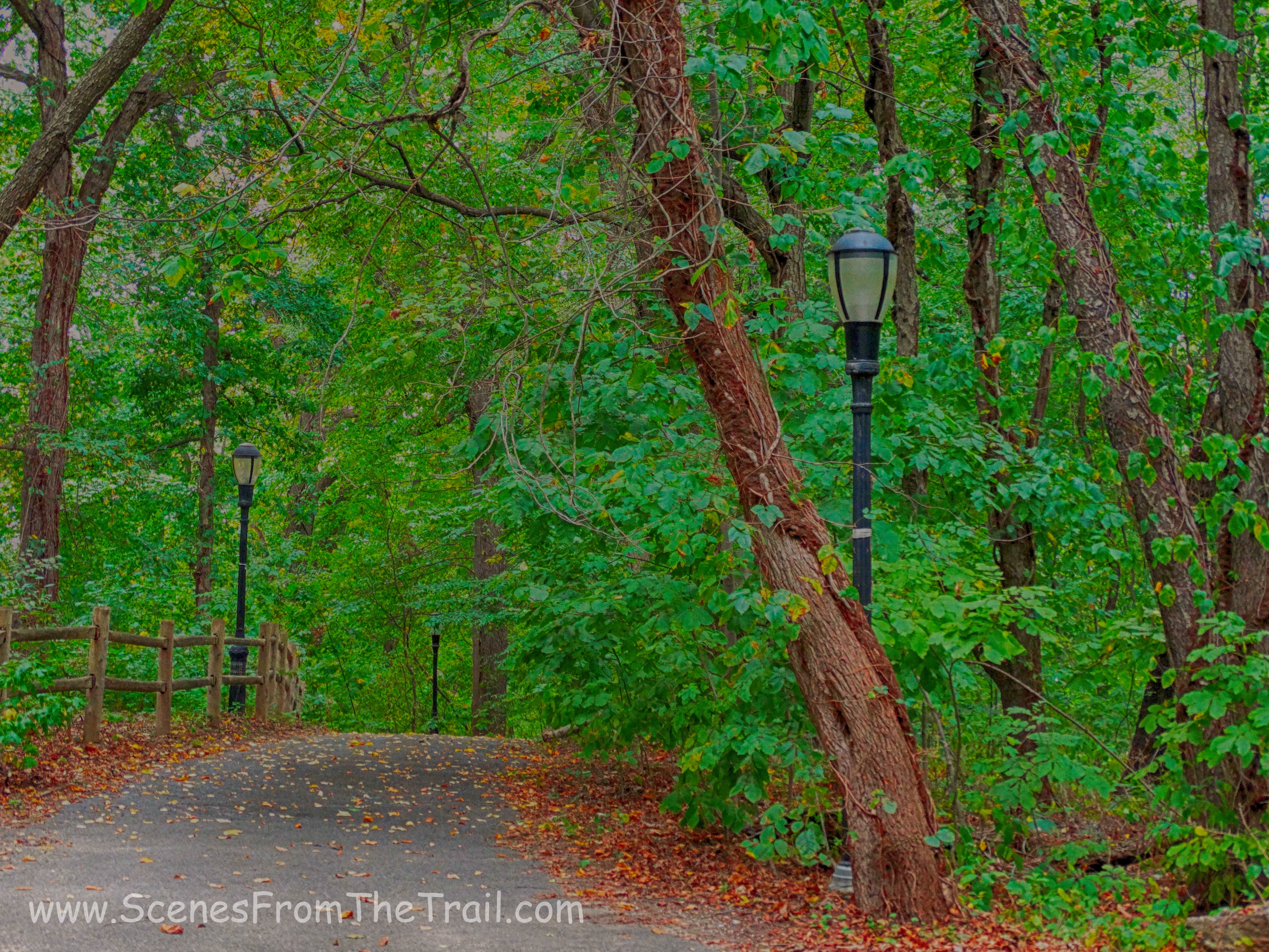Van Cortlandt Park