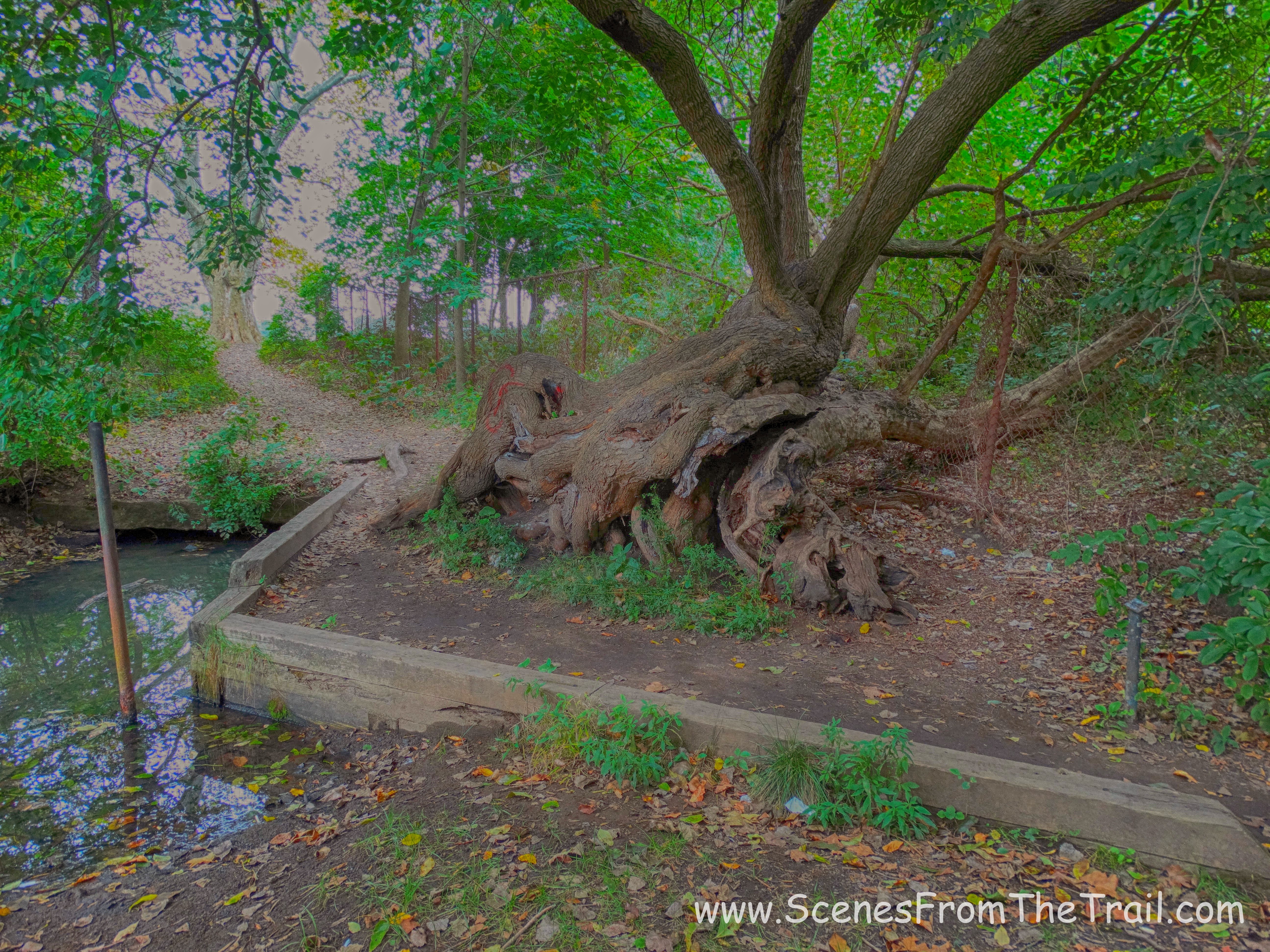 John Kieran Nature Trail
