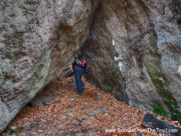 Lemon Squeezer entrance