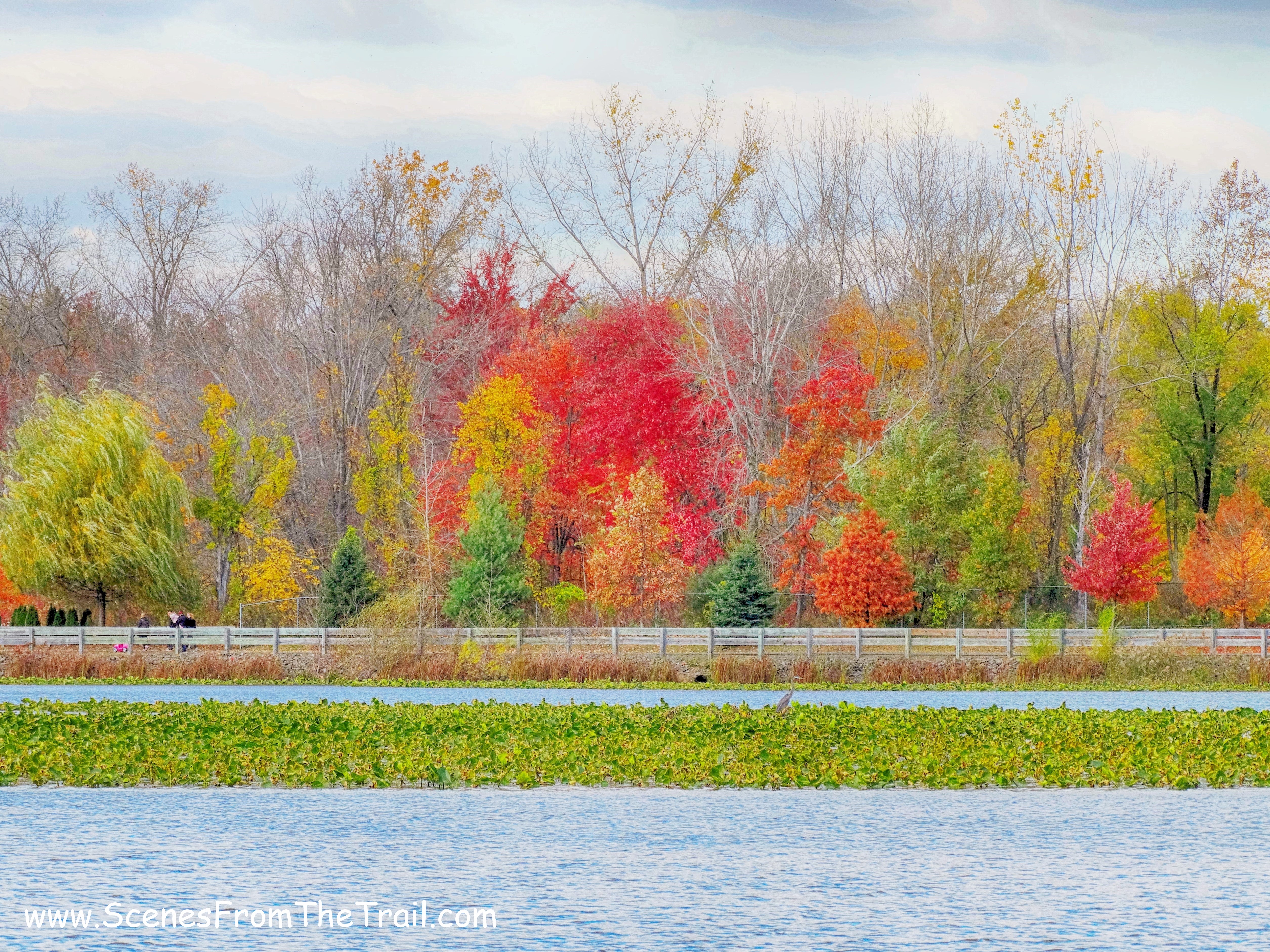 Congers Lake