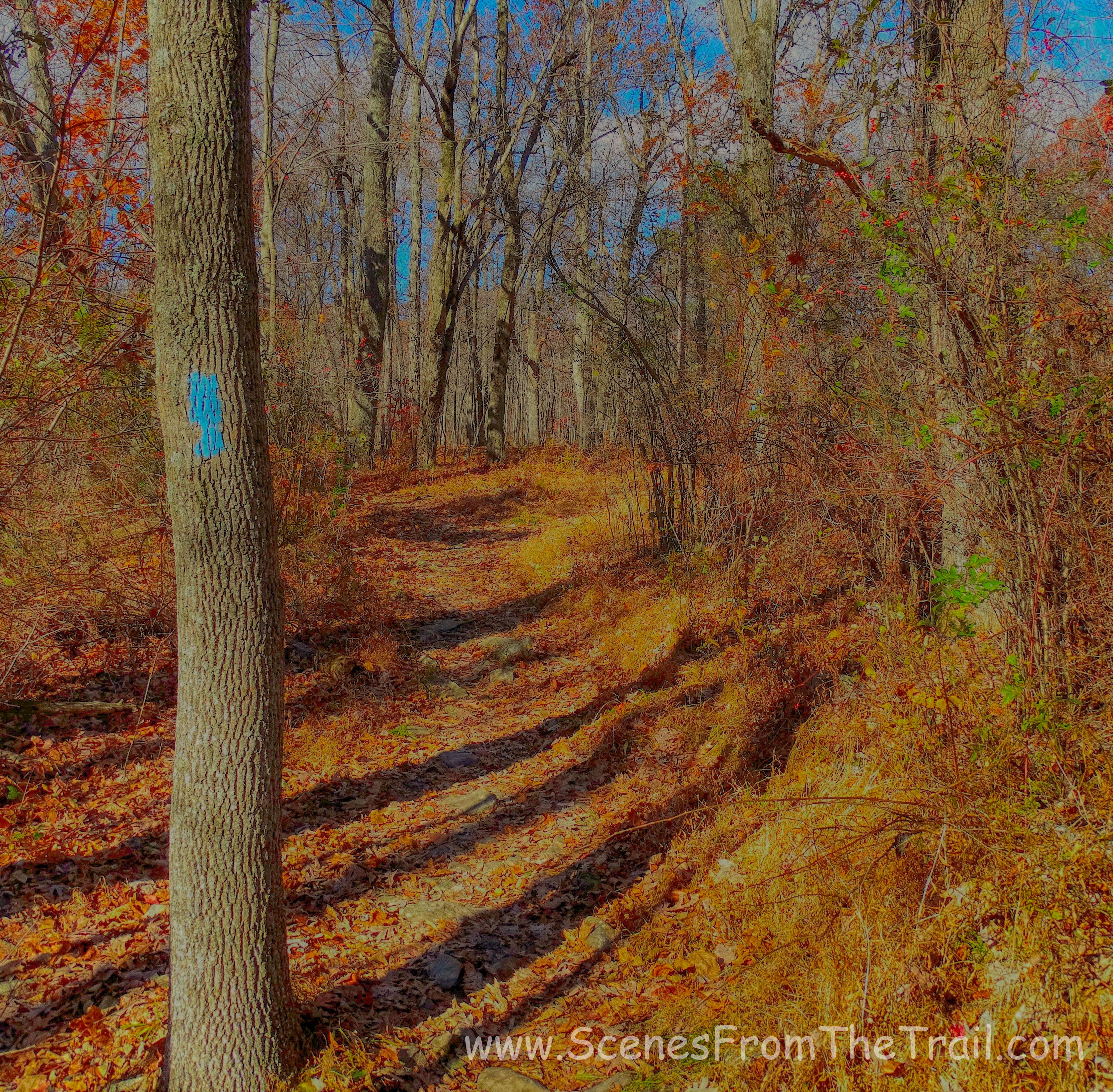 blue blazed connector trail