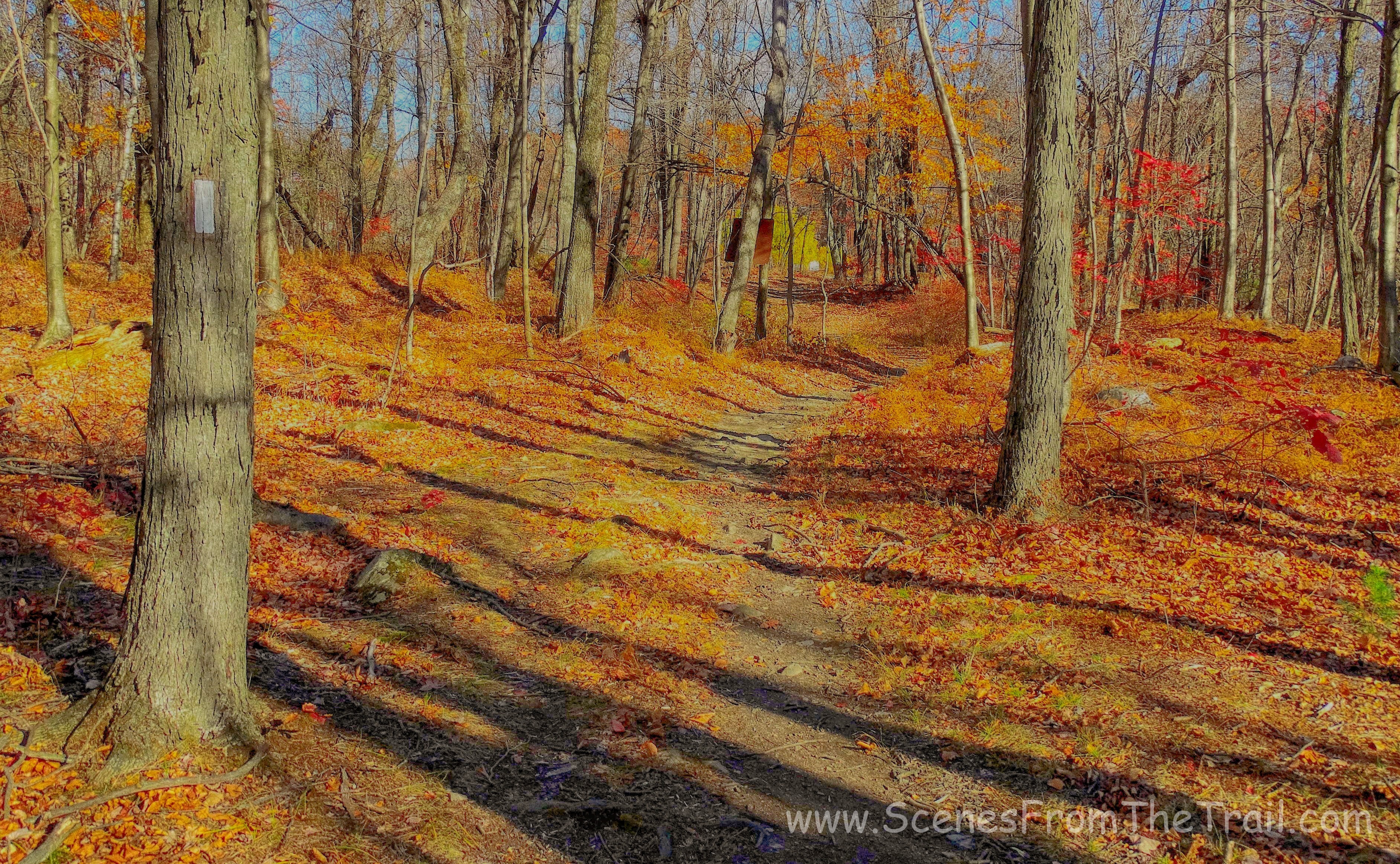 Appalachian Trail