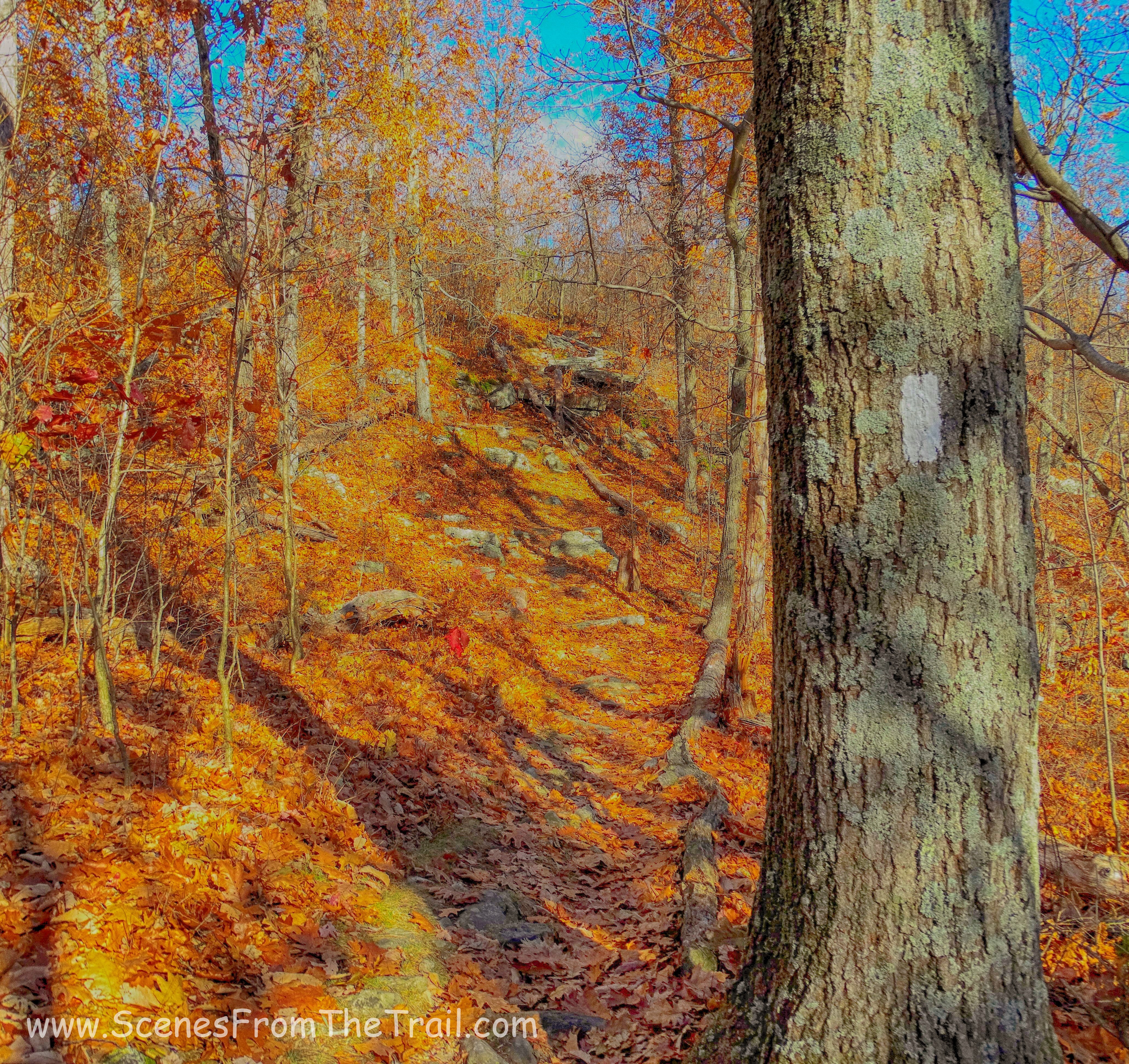 Appalachian Trail