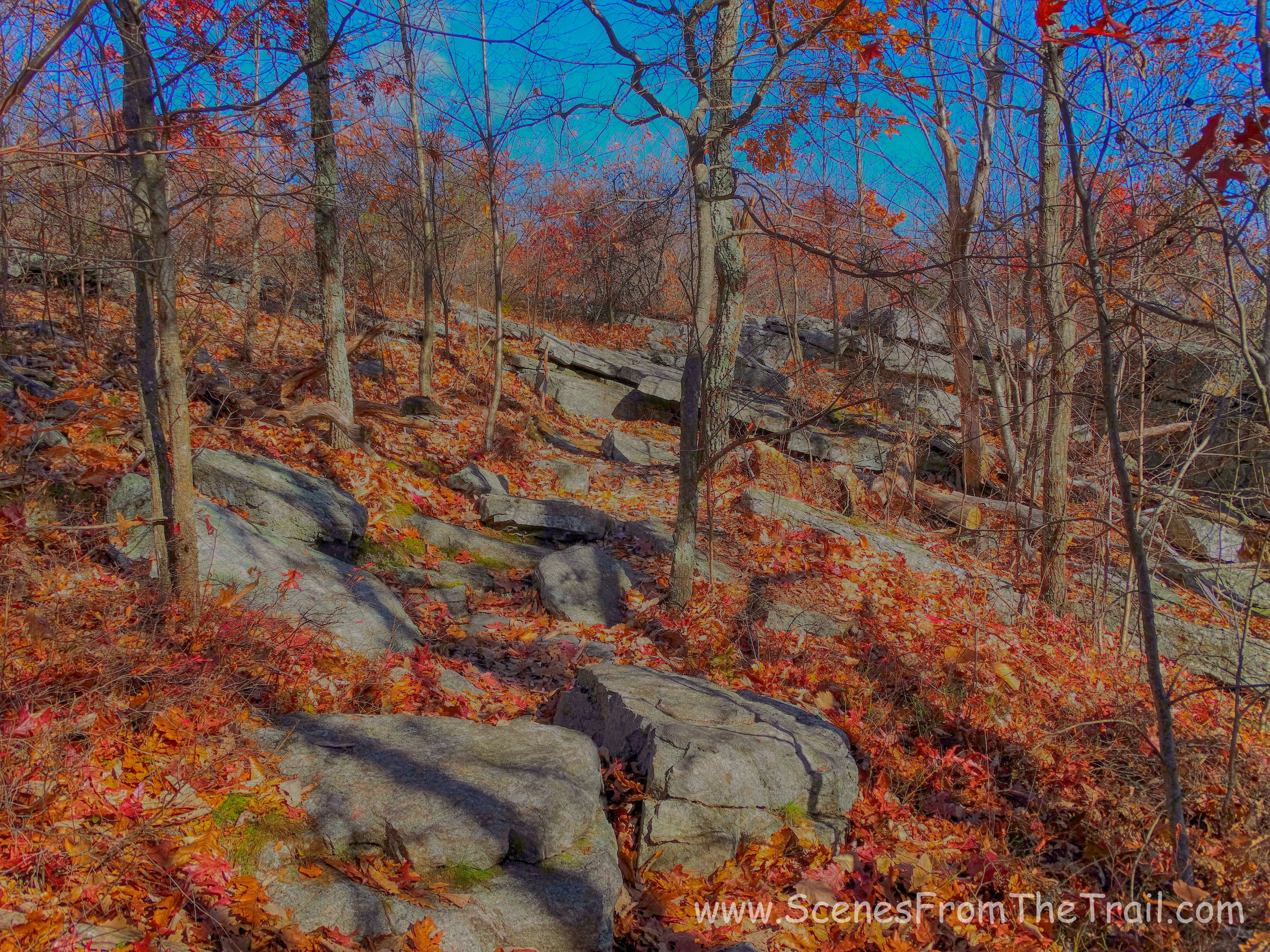 Appalachian Trail
