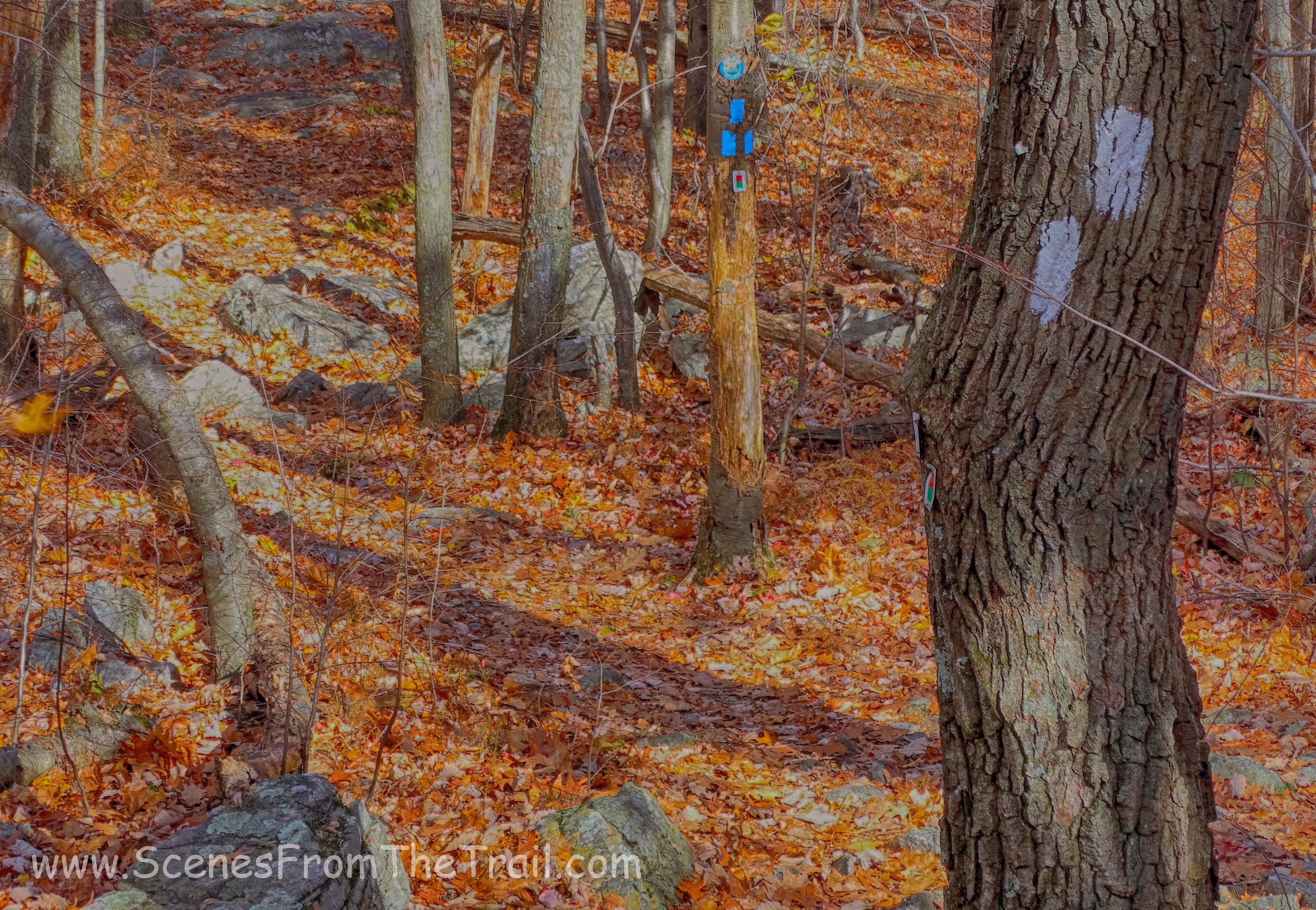 red-green blazed Monument Trail