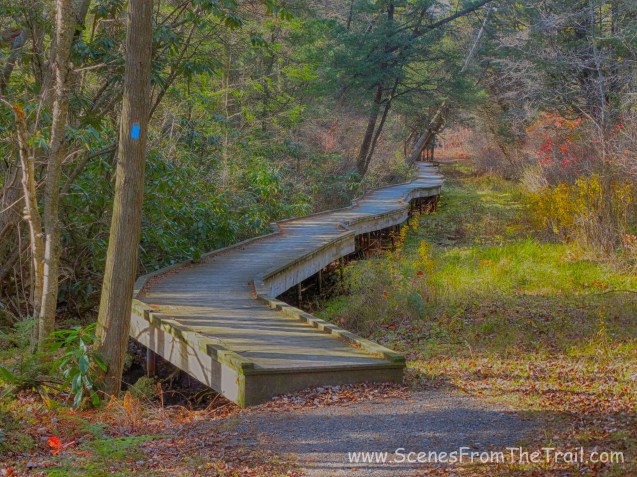 wooden boardwalk