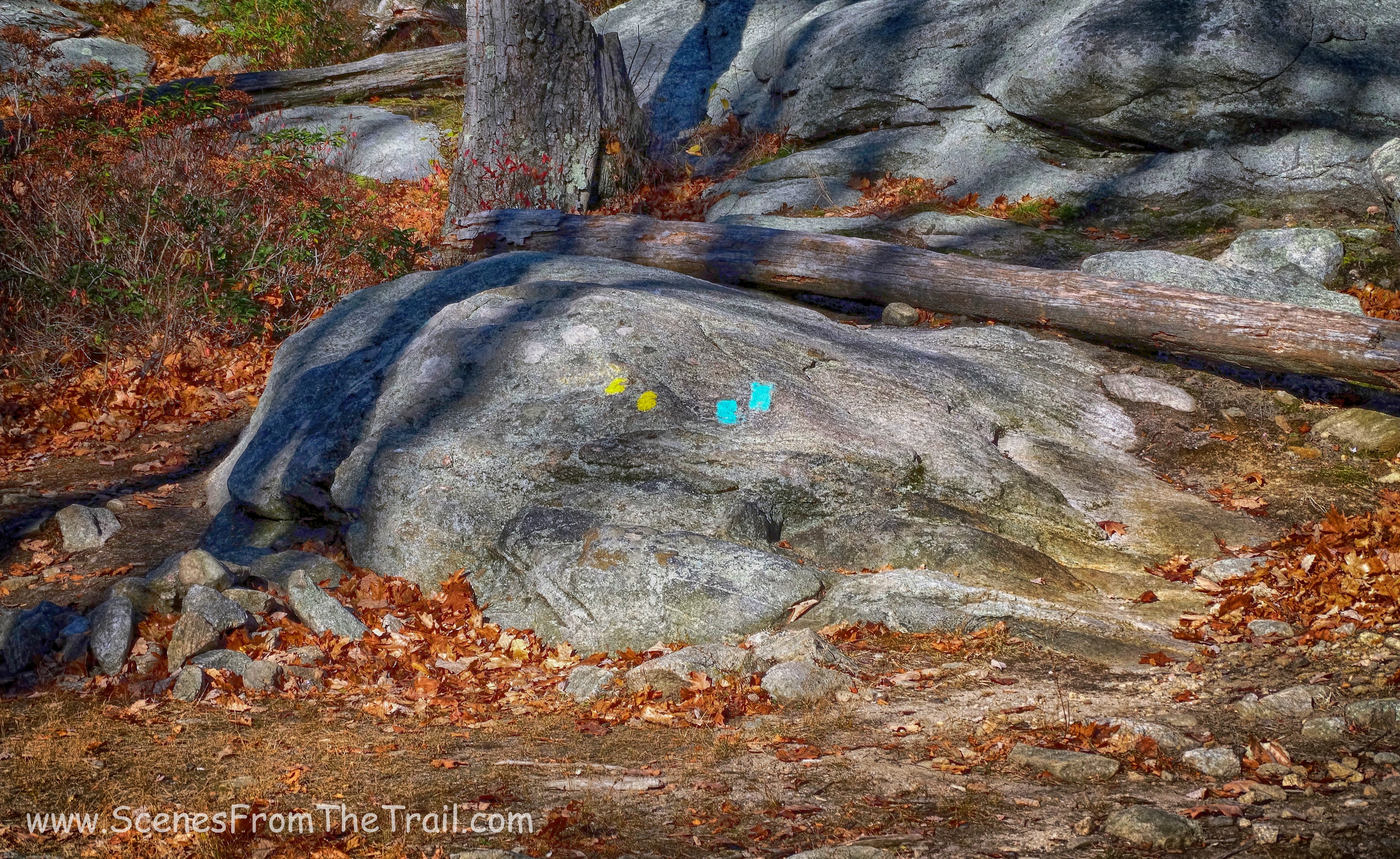 Dunning Trail / Long Path fork