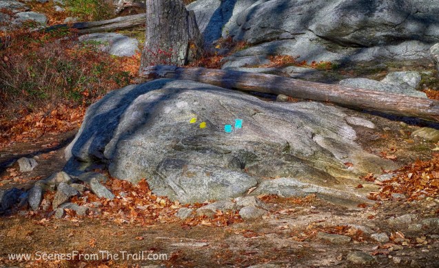 Dunning Trail / Long Path fork