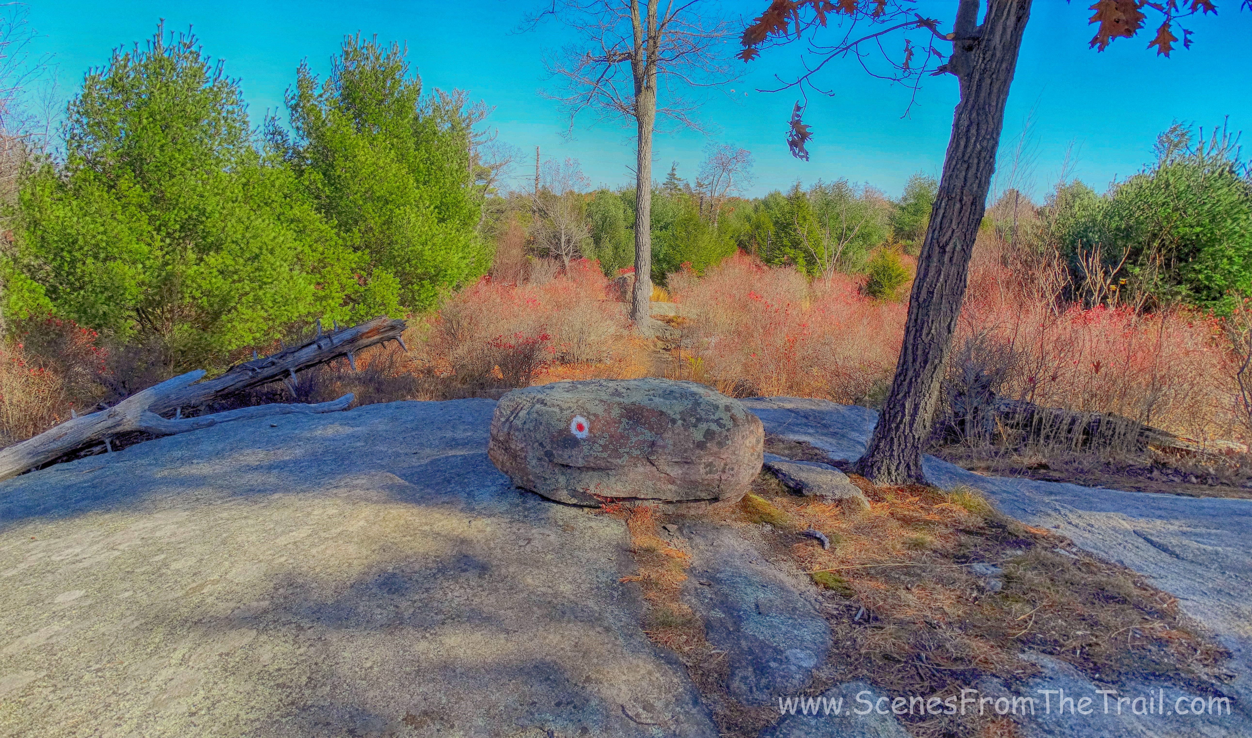 Ramapo-Dunderberg trail