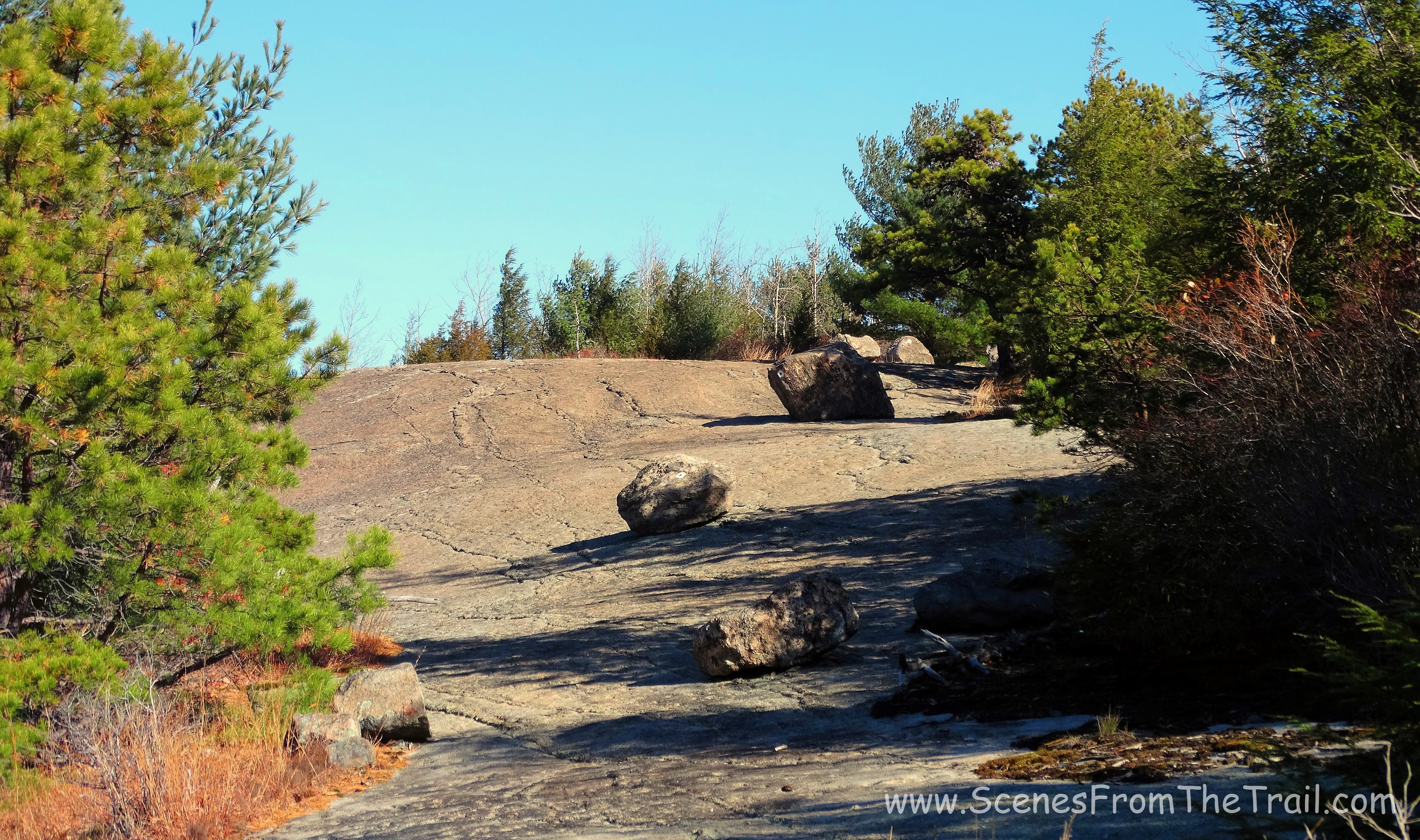 Whaleback
