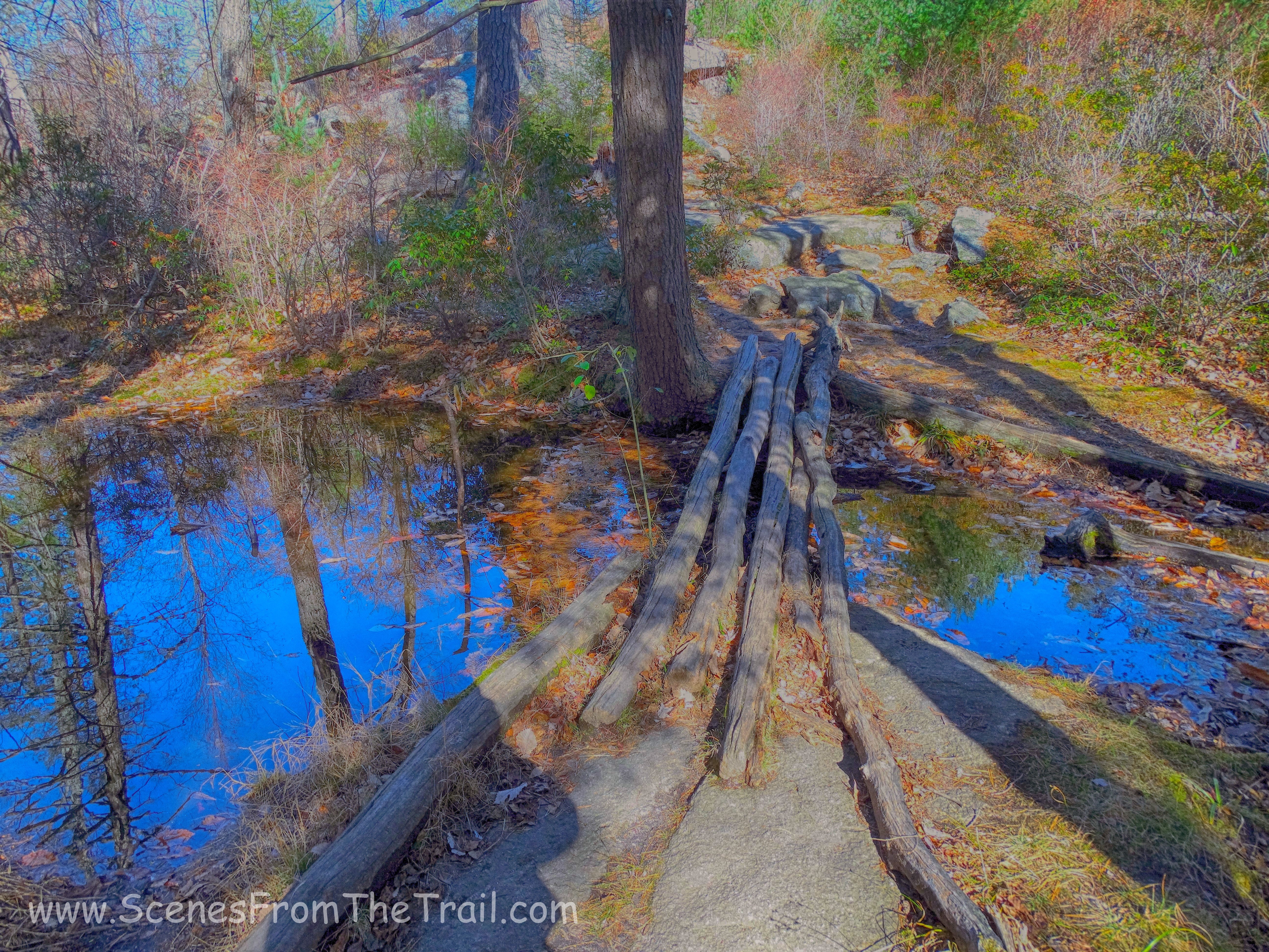 log bridge