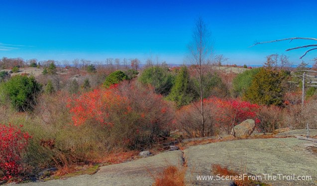 Ramapo-Dunderberg trail