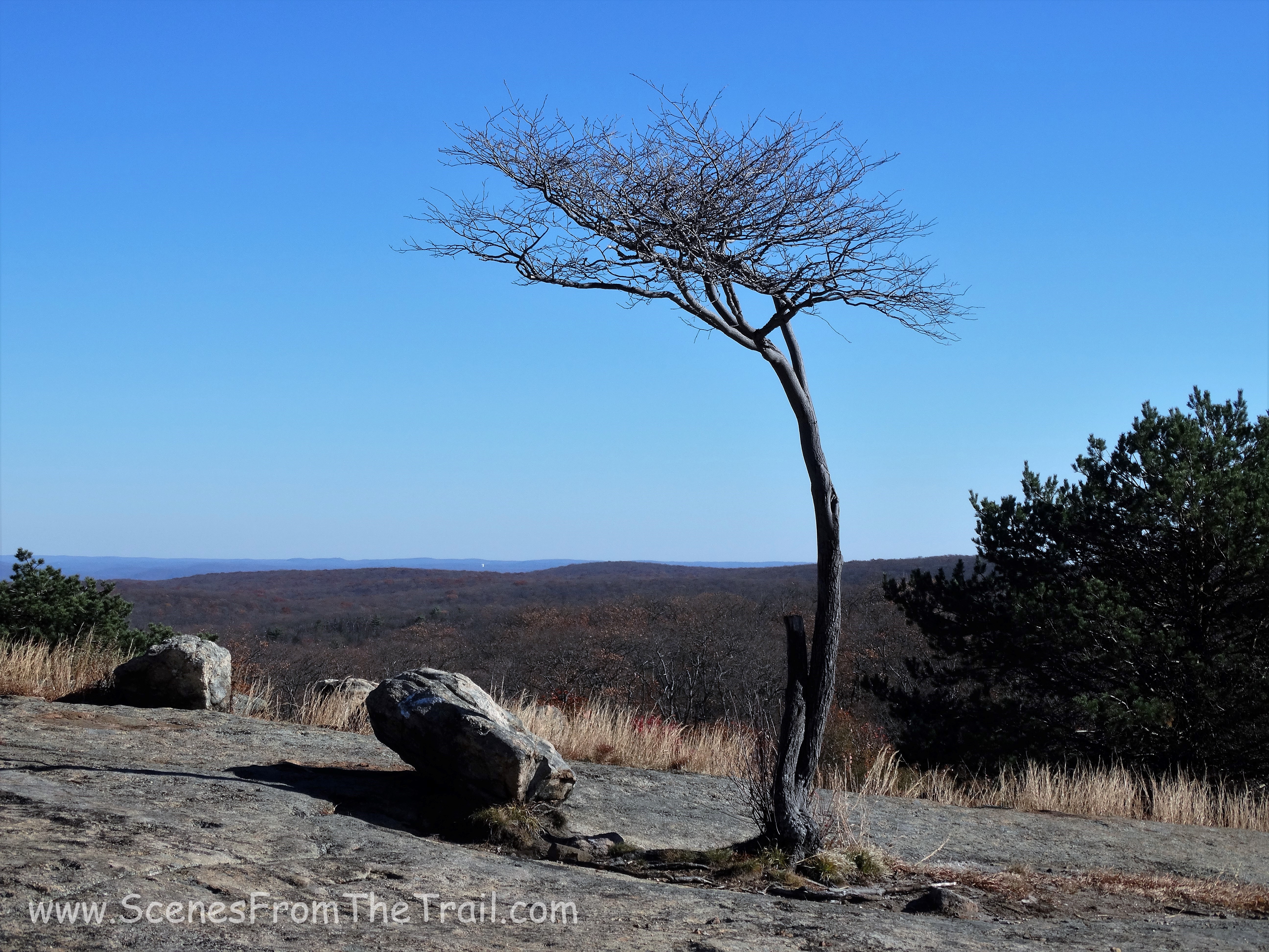 Hogencamp Mountain