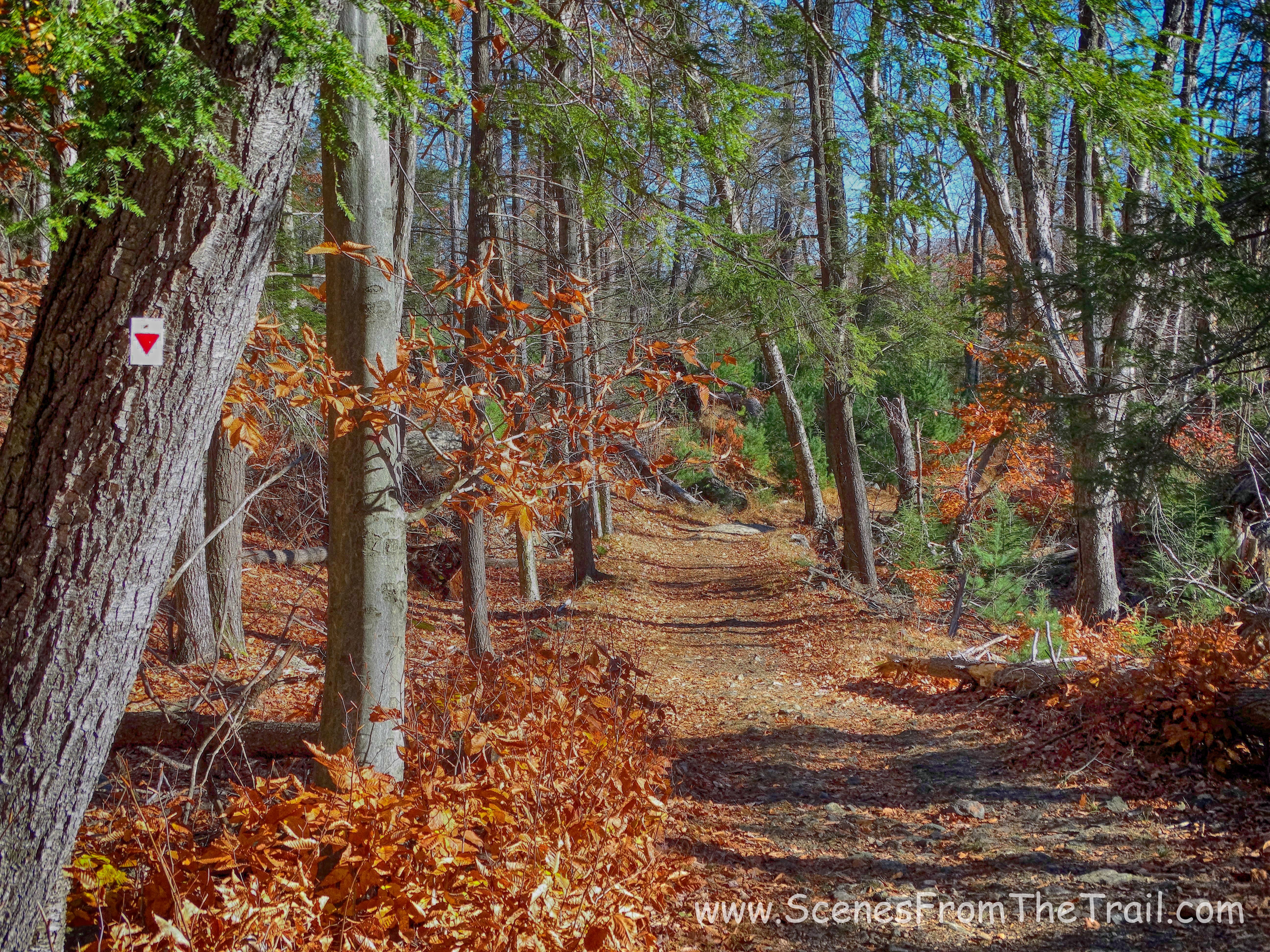Arden-Surebridge (A-SB) Trail