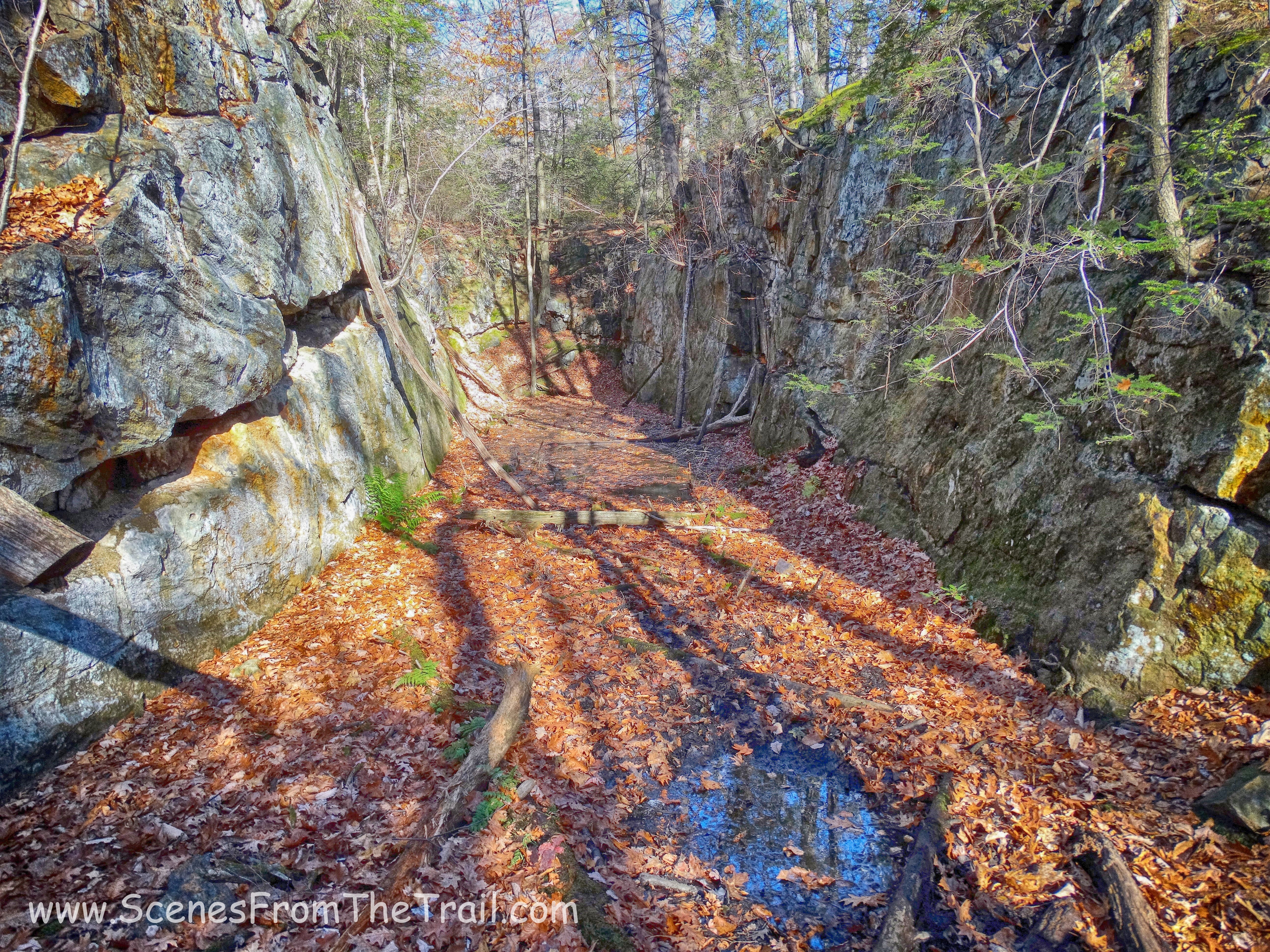 Pine Swamp Mine