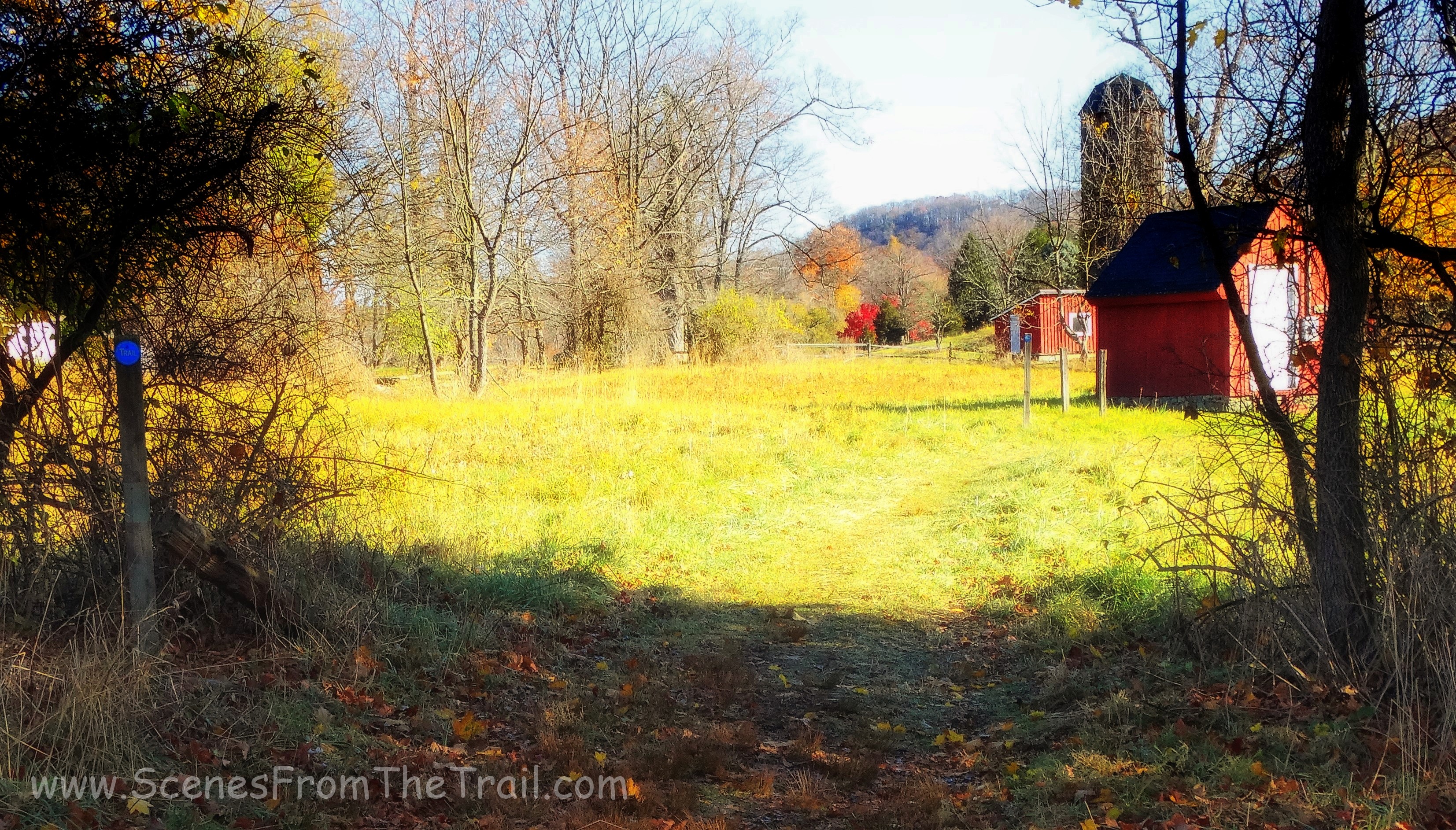 blue blazed trail
