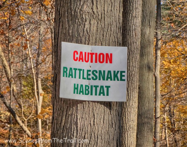 Rattlesnake sign