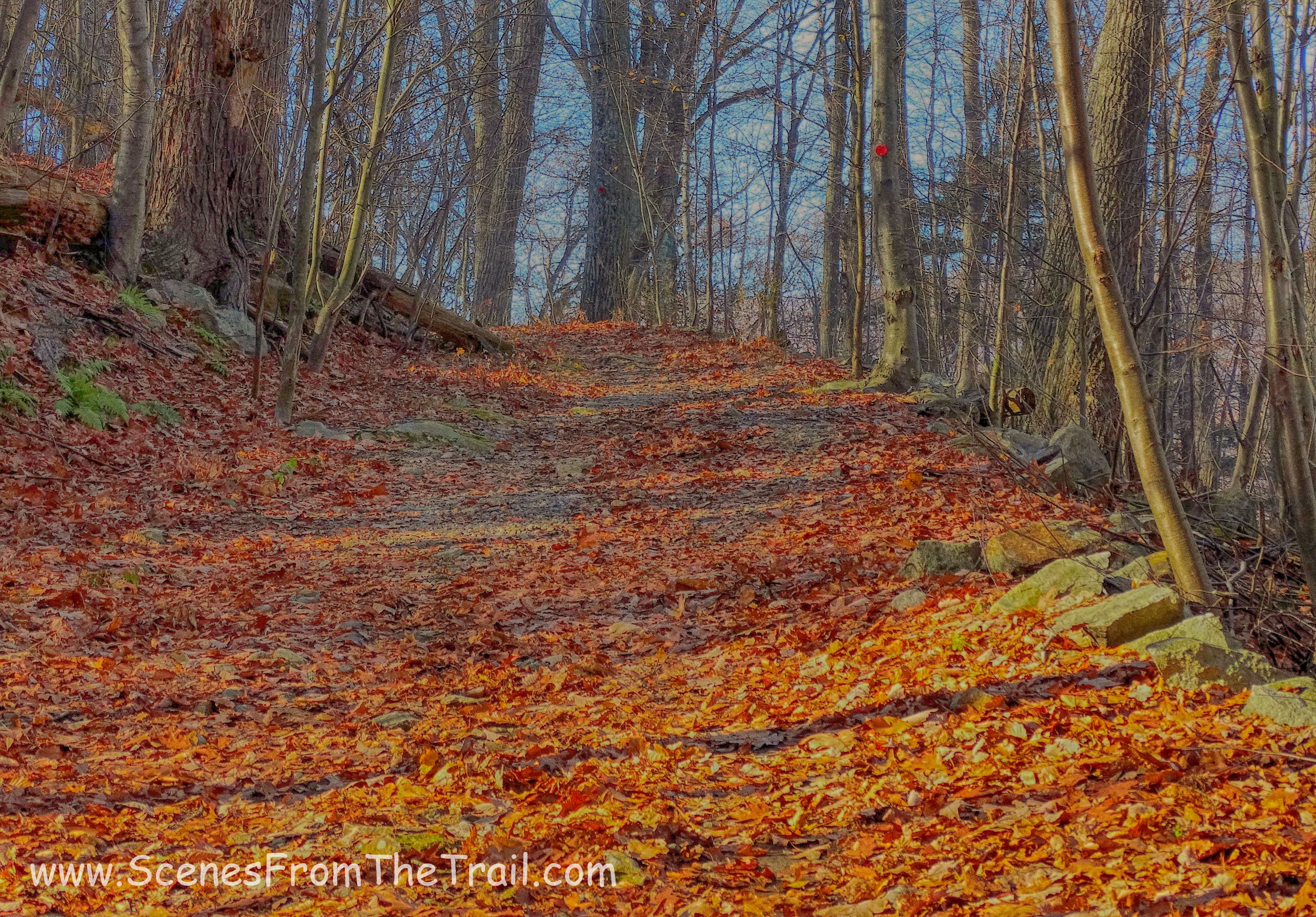 Sugarloaf trail