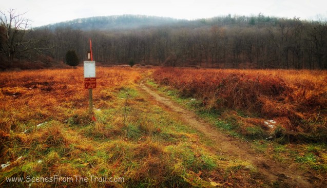 Appalachian Trail from Elk Pen