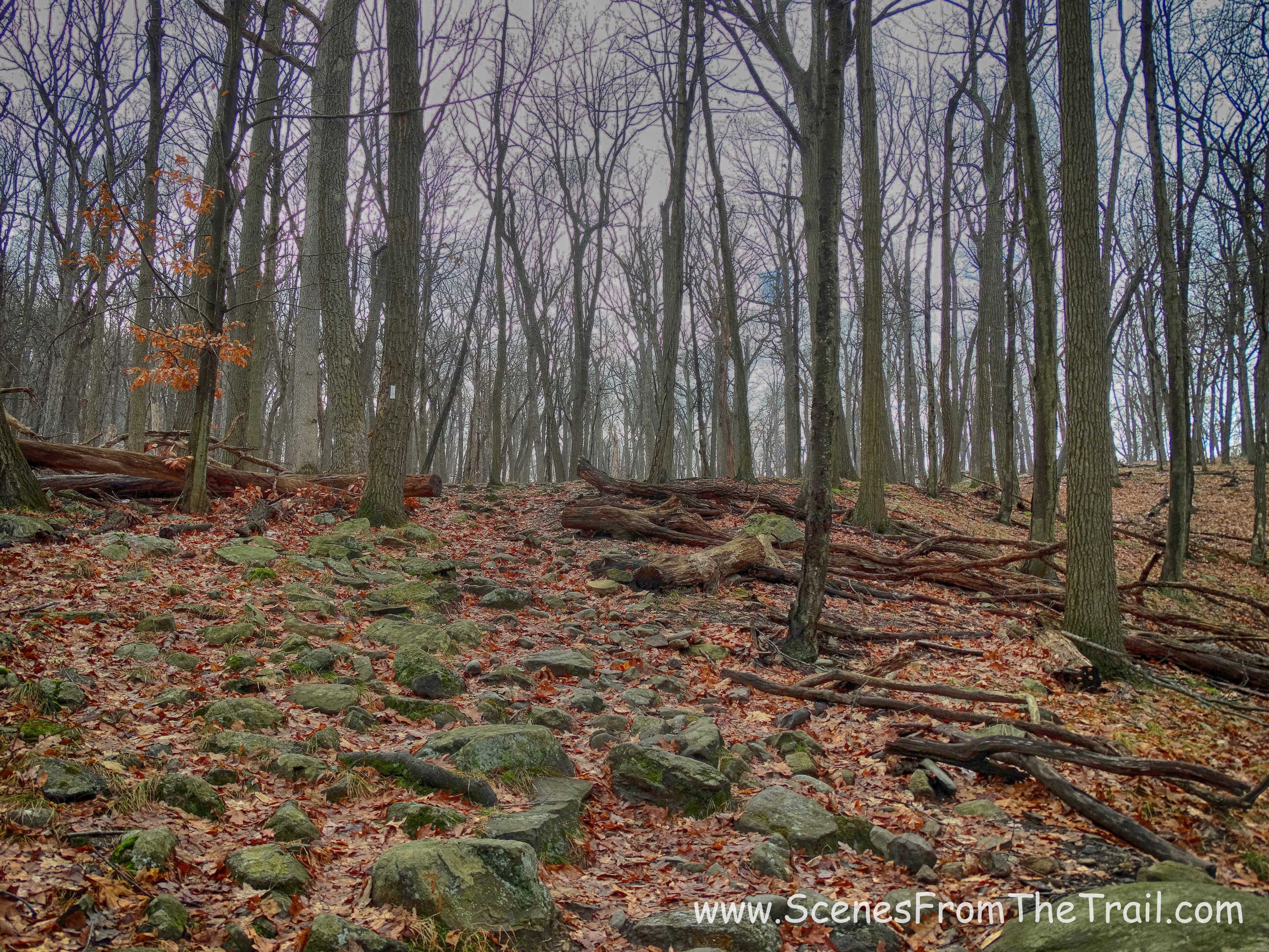 Appalachian Trail