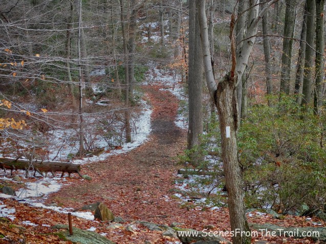 Appalachian Trail - Island Pond Road