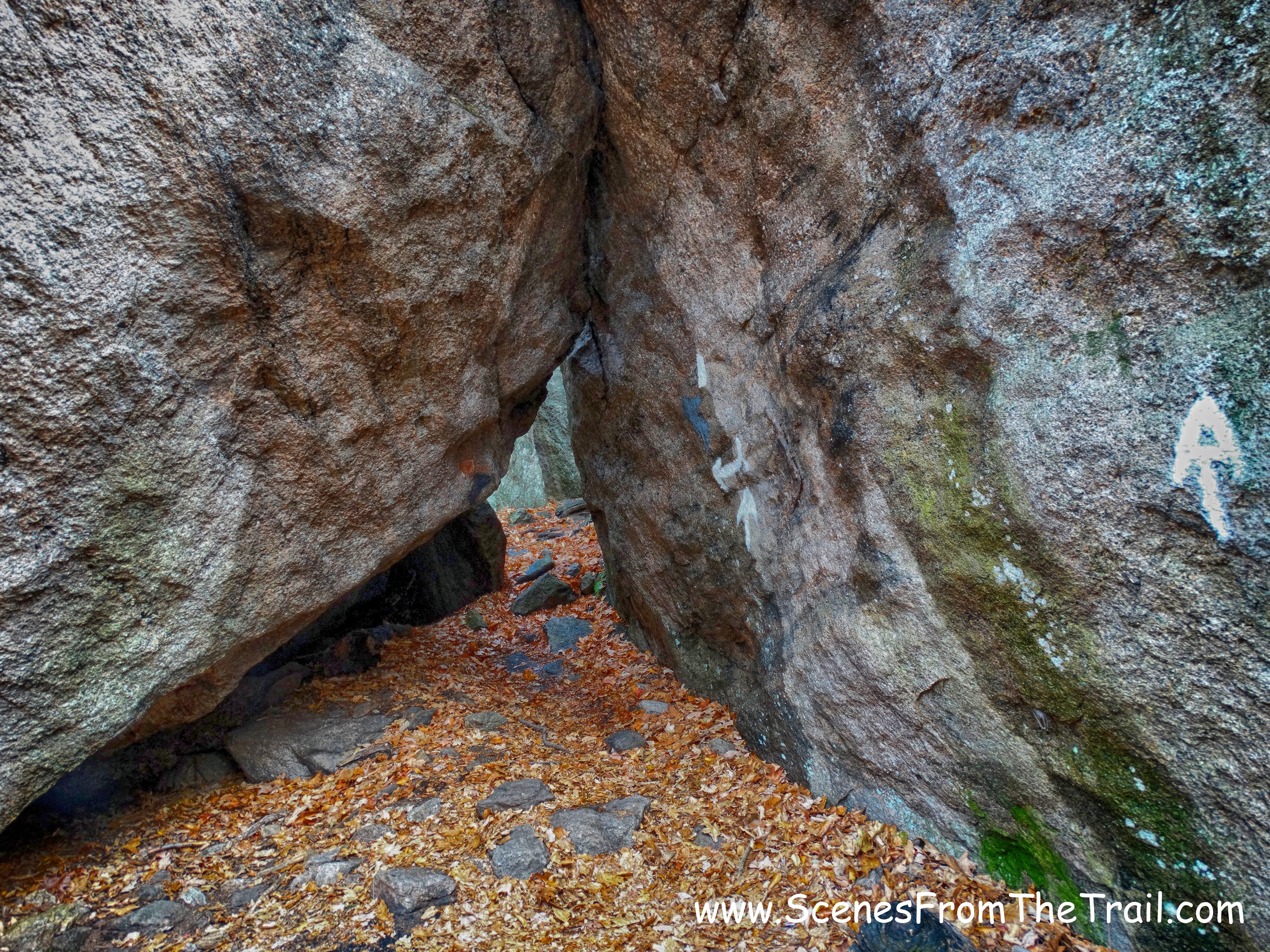 Lemon Squeezer entrance