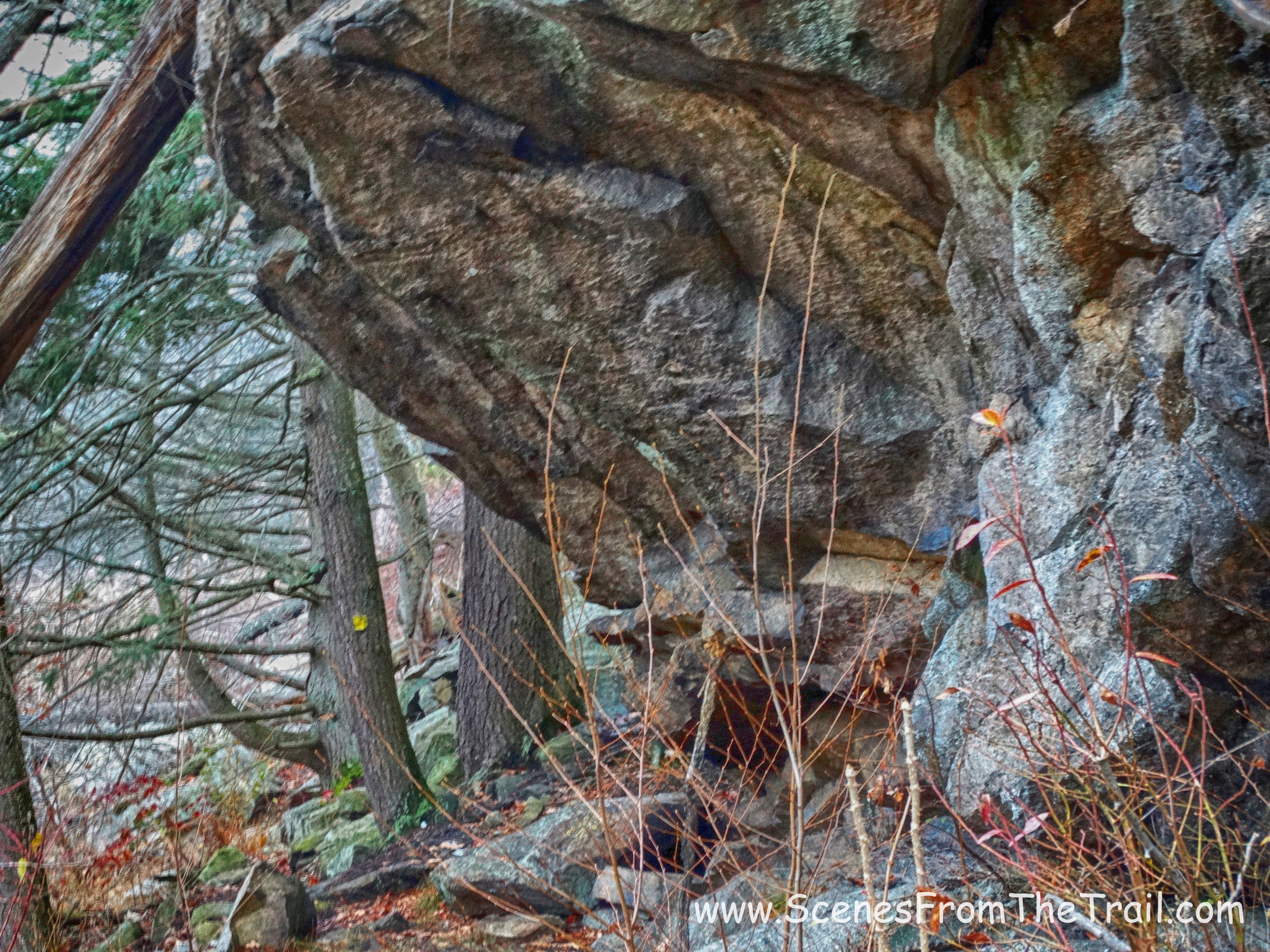 Dunning Trail