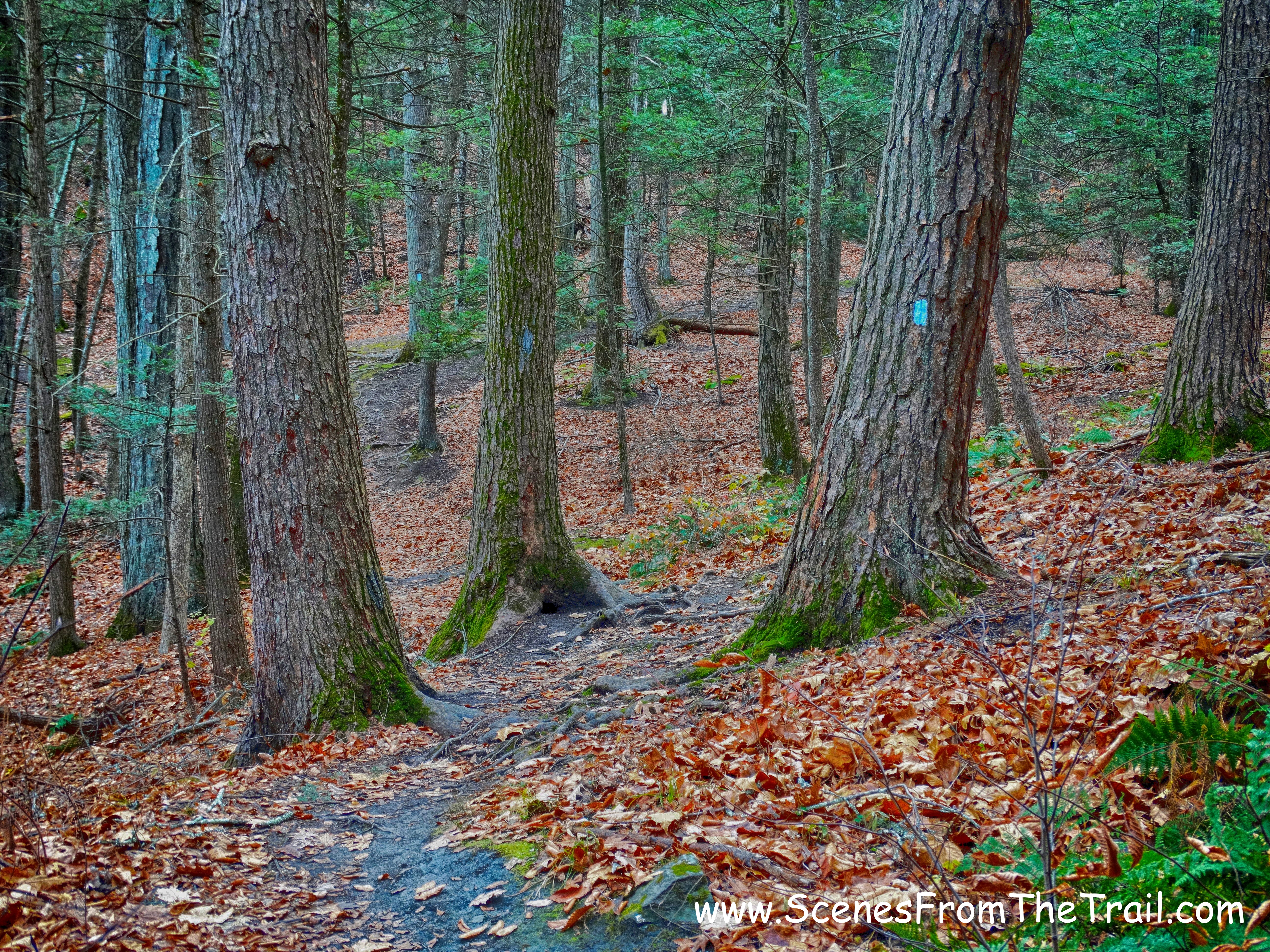 Waramaug Trail