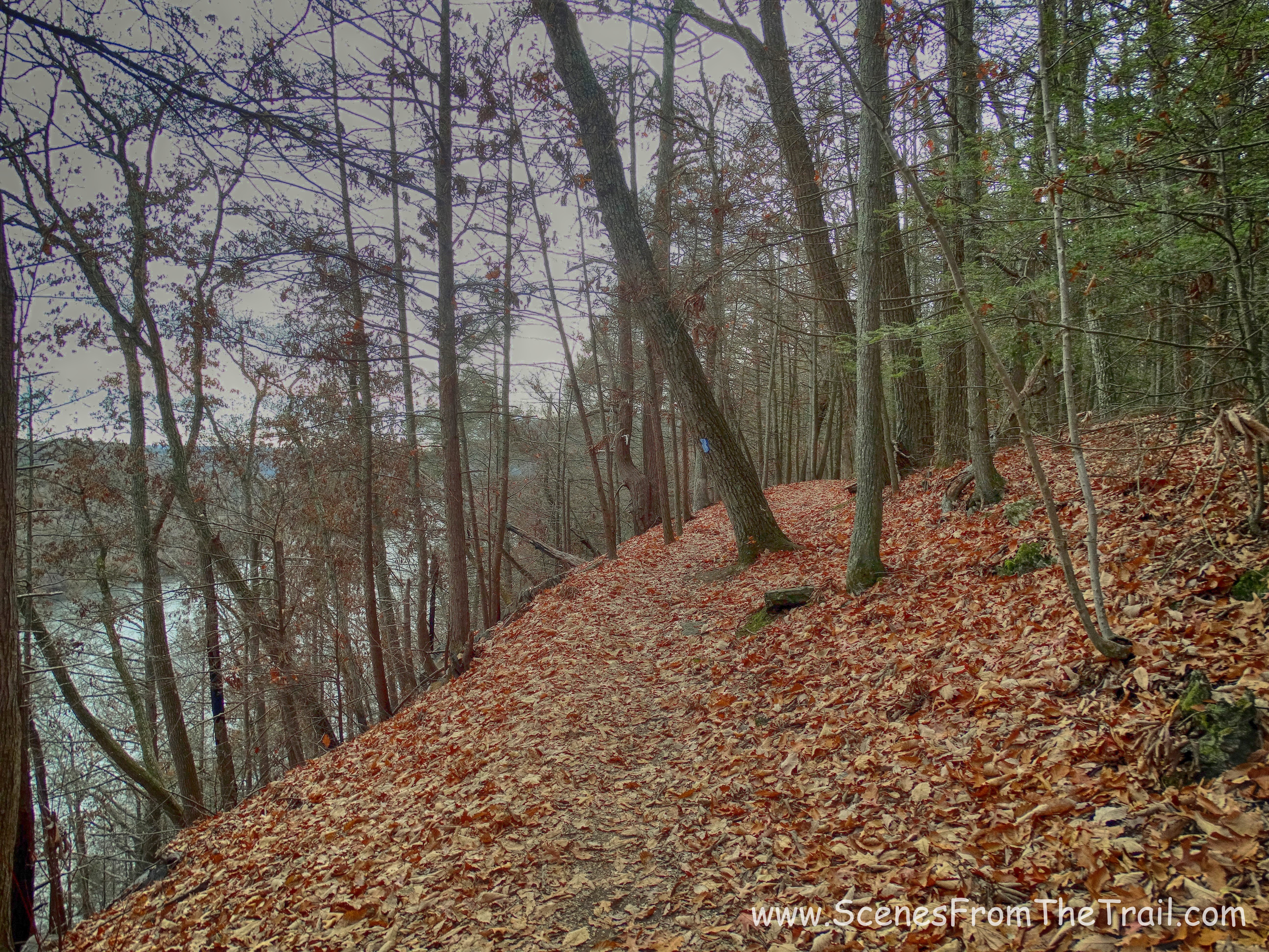 Waramaug Trail
