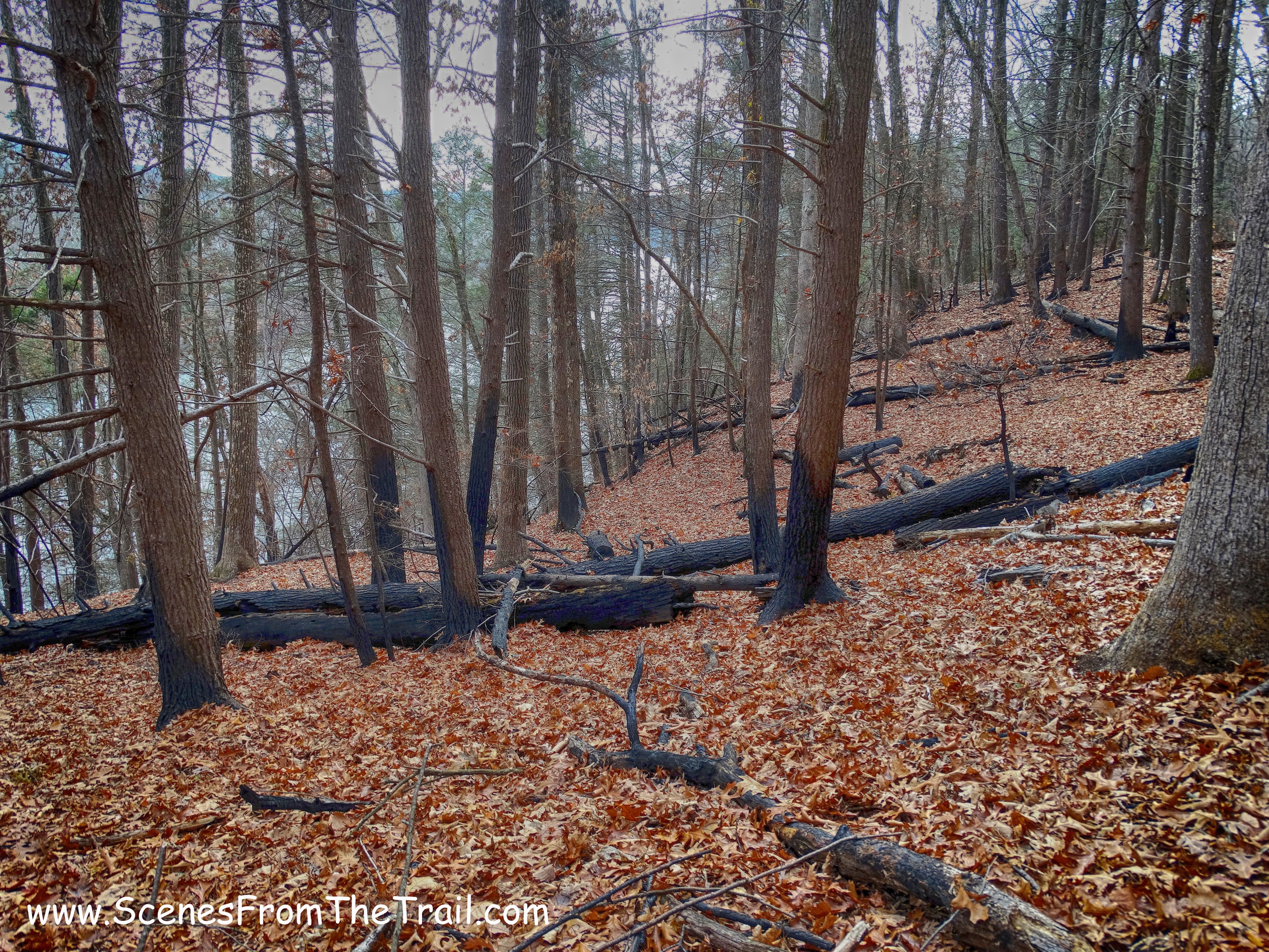 Waramaug Trail