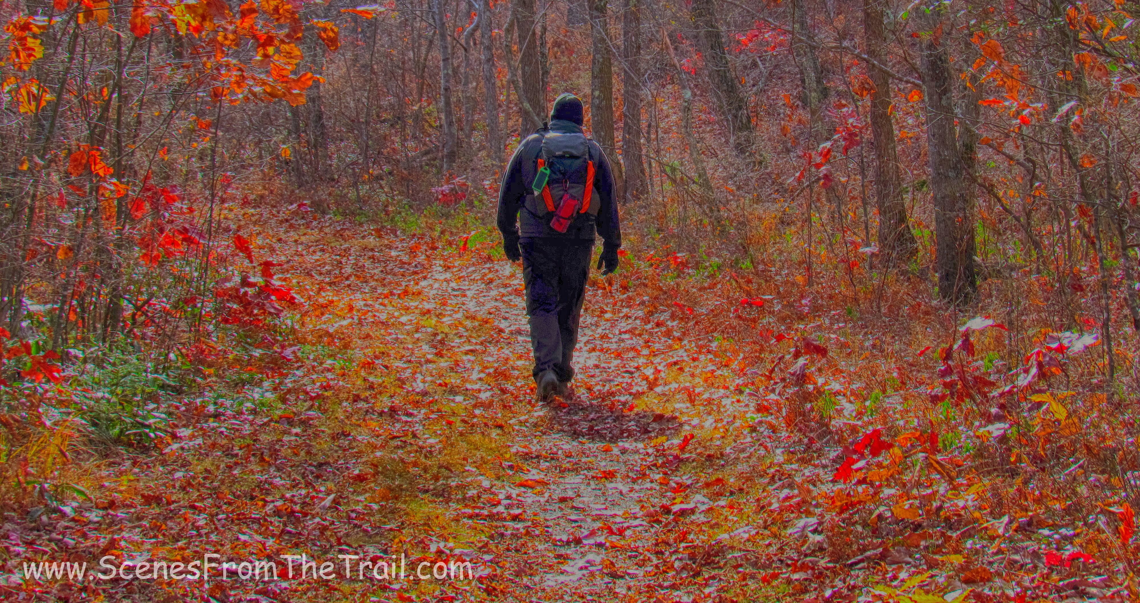 Take a hike!