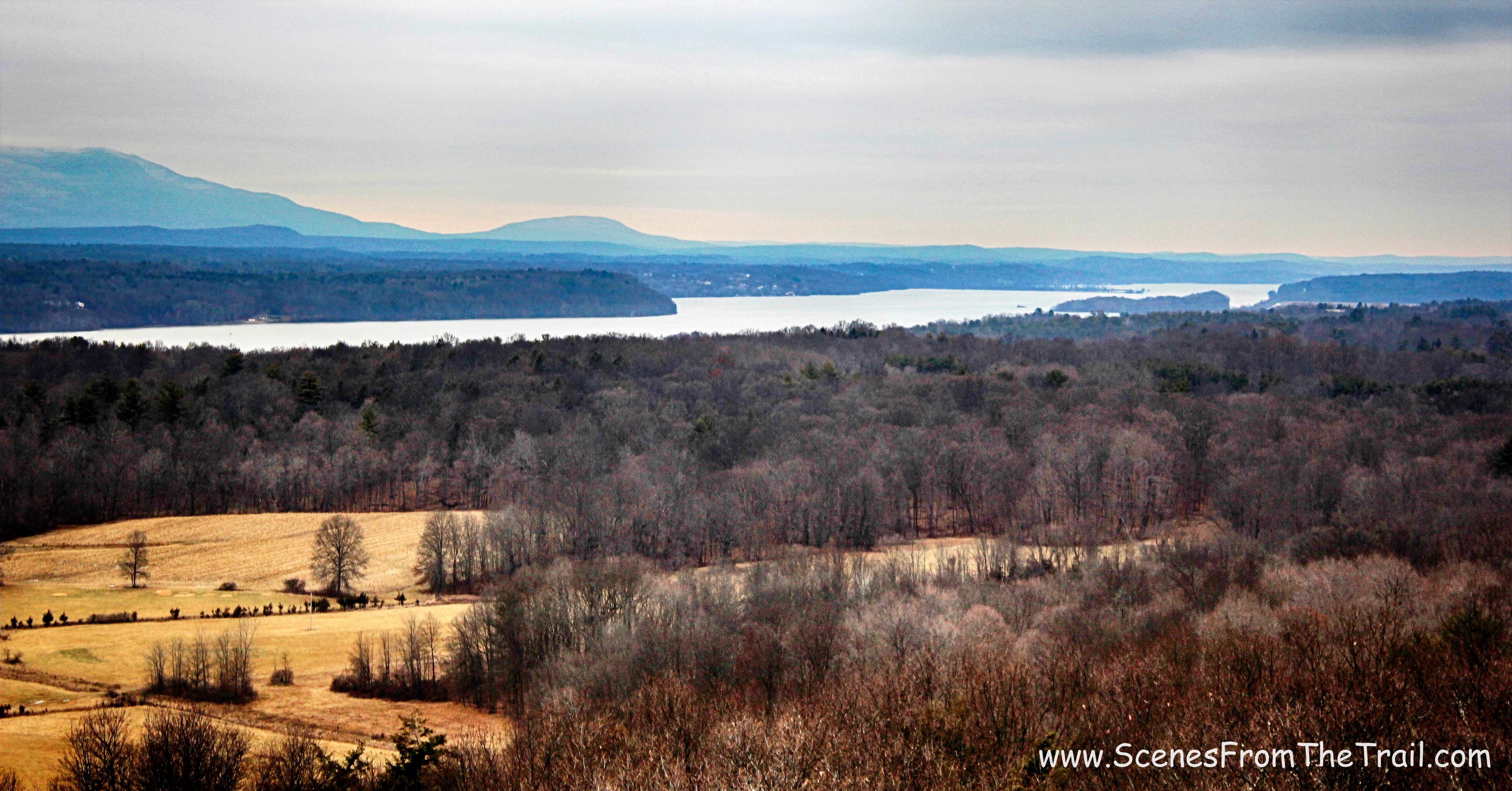 view further north from the Ferncliff Forest Observation Tower