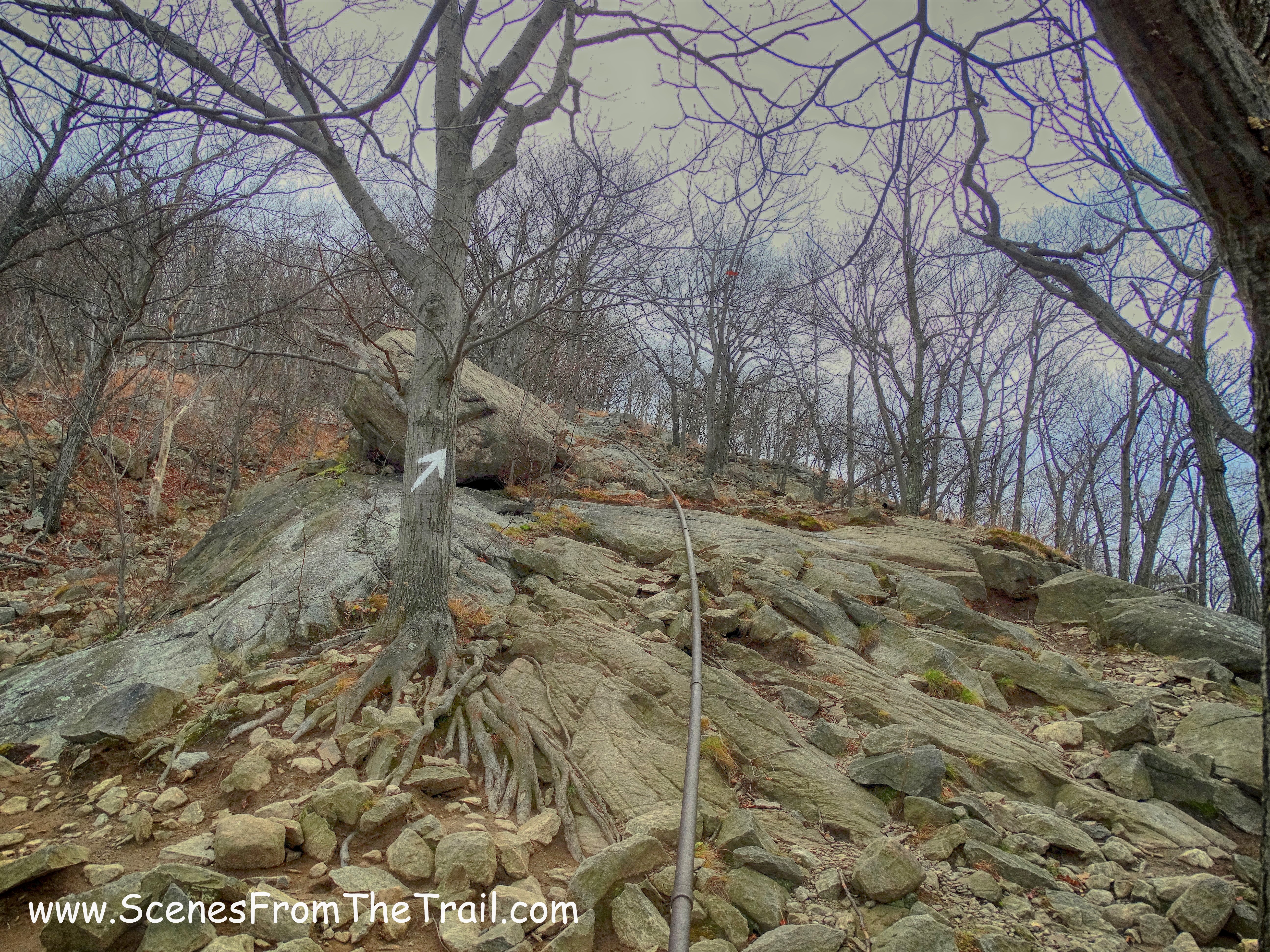 Washburn Trail