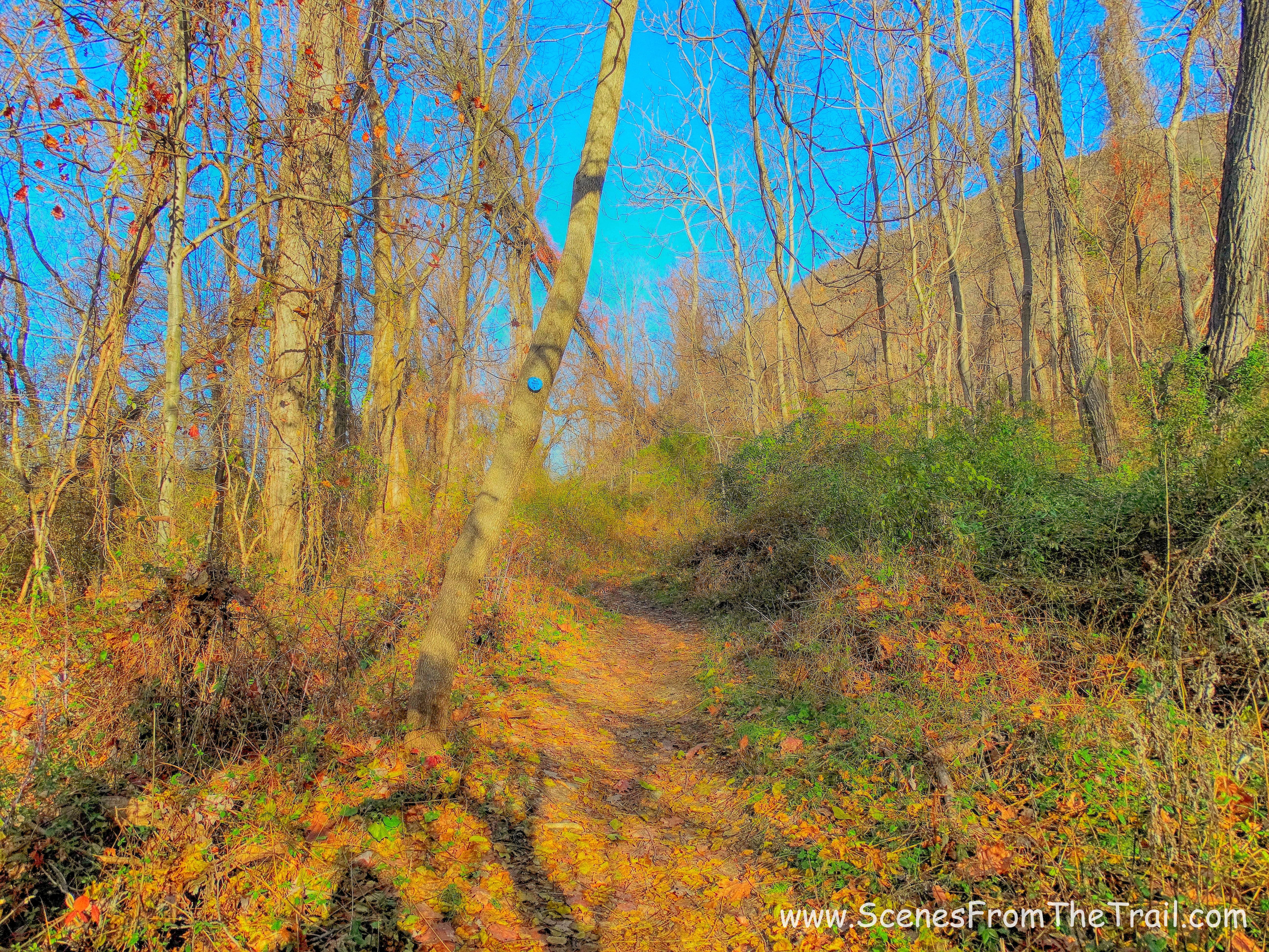 Cornish Trail