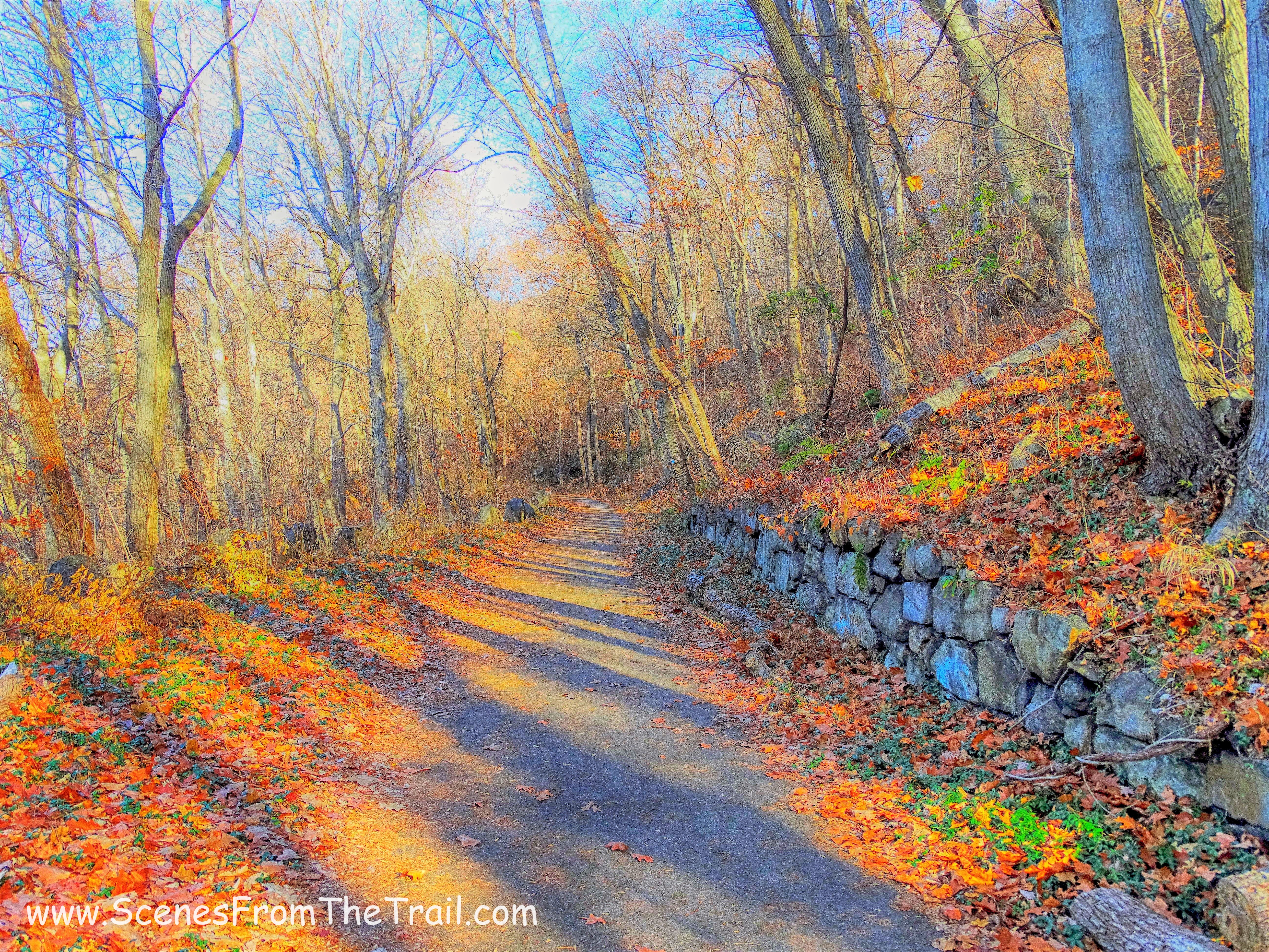 Cornish Trail