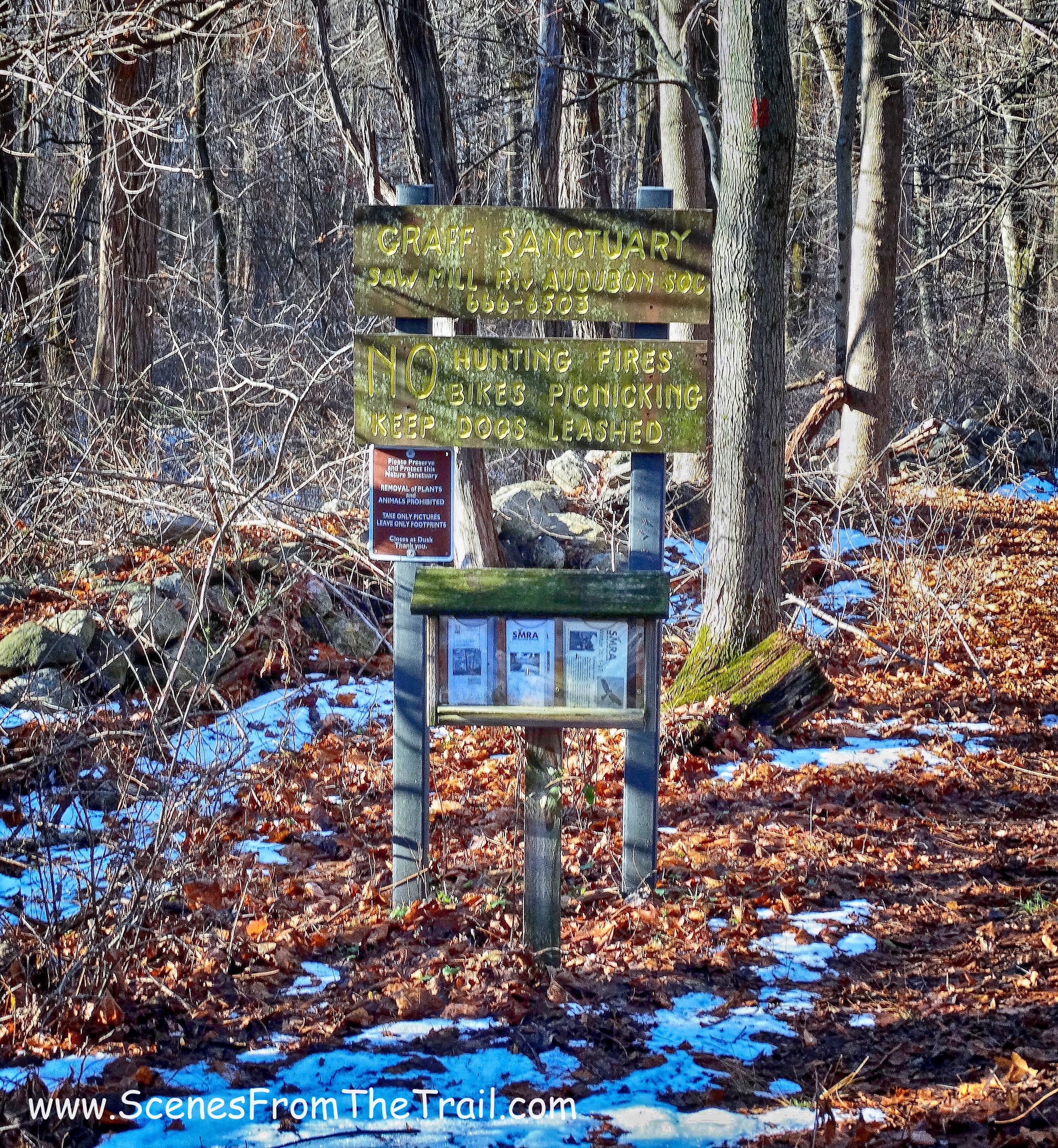 Graff Sanctuary