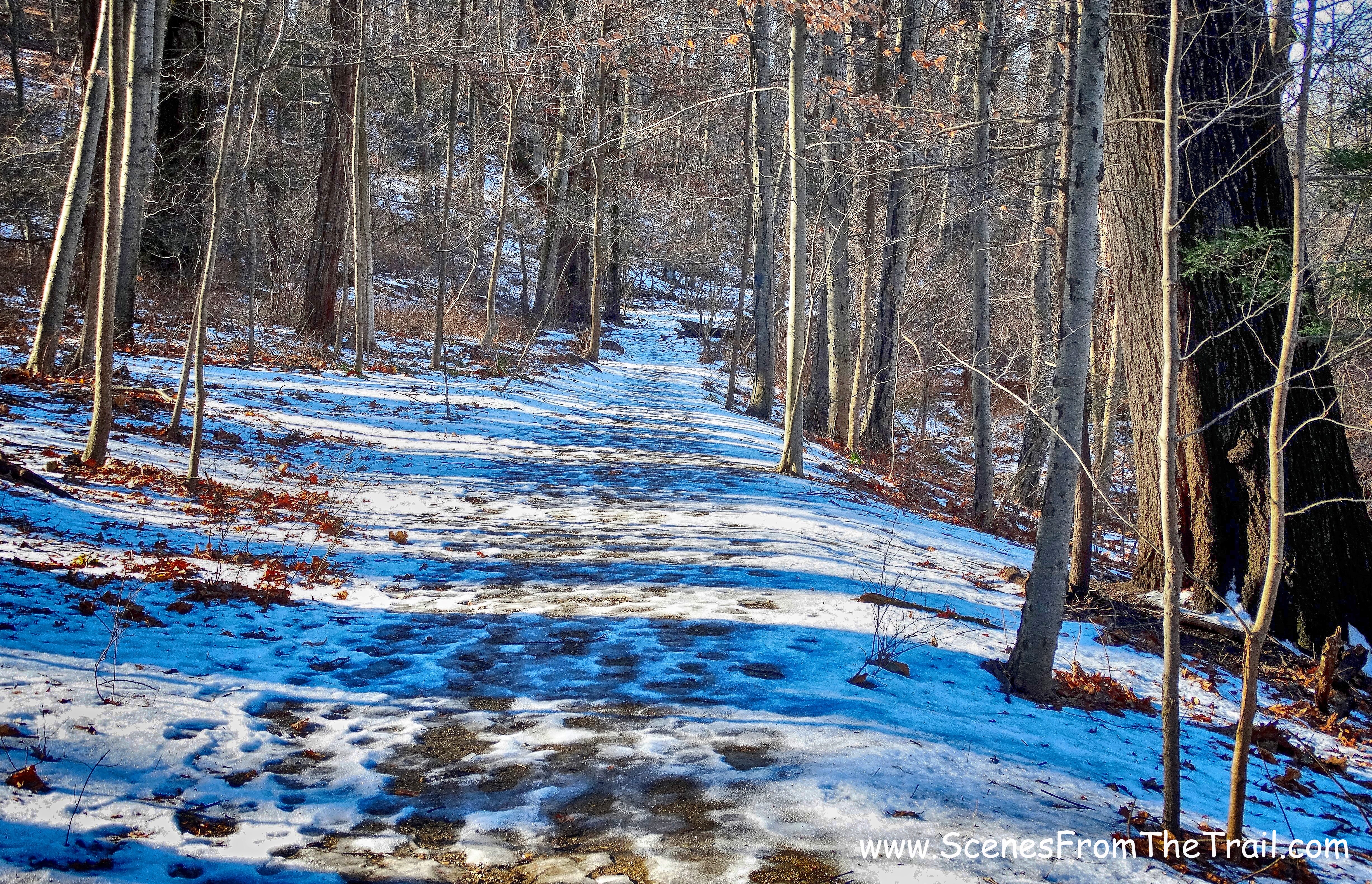 teal-blazed trail