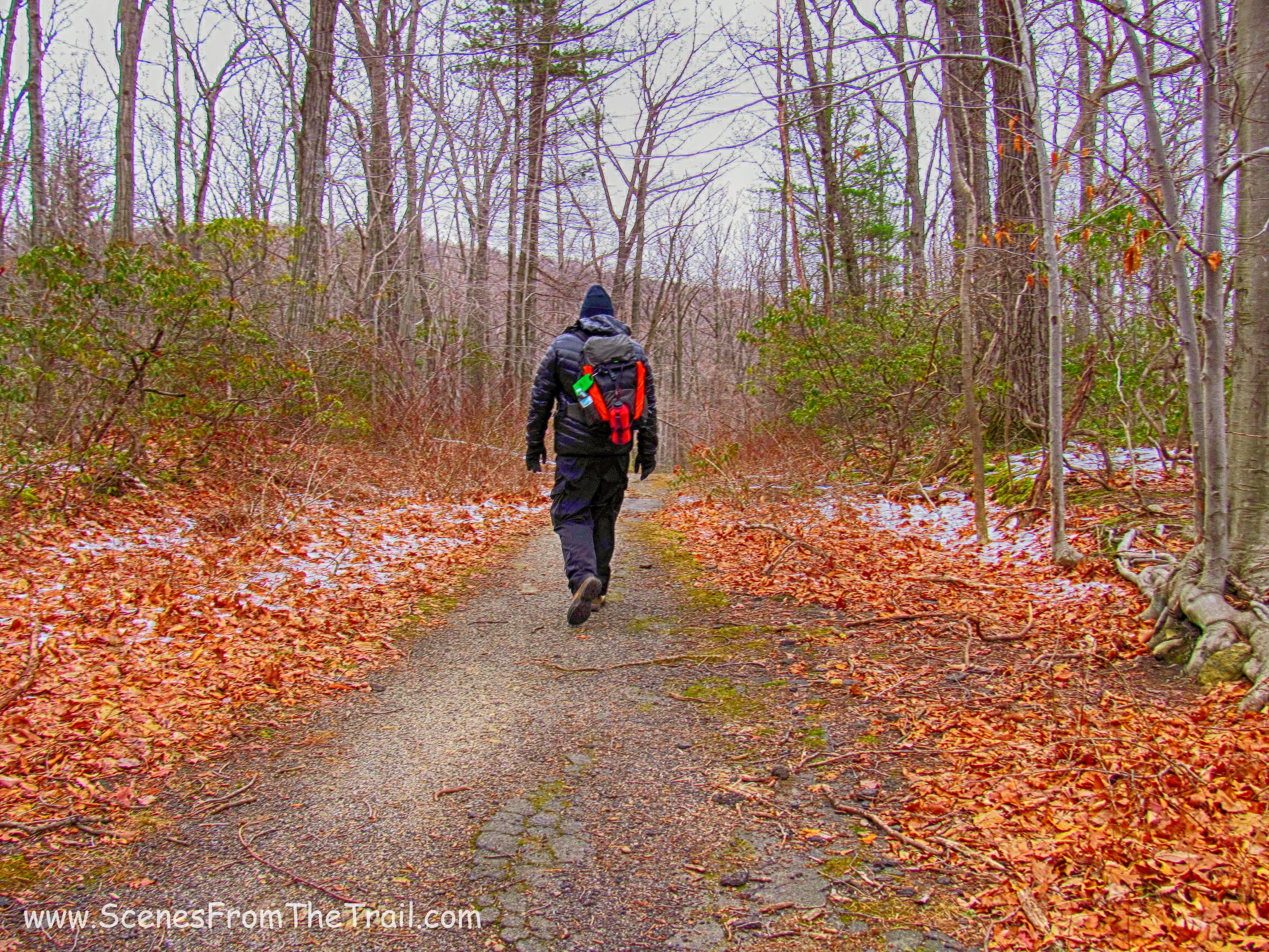 Take a hike!