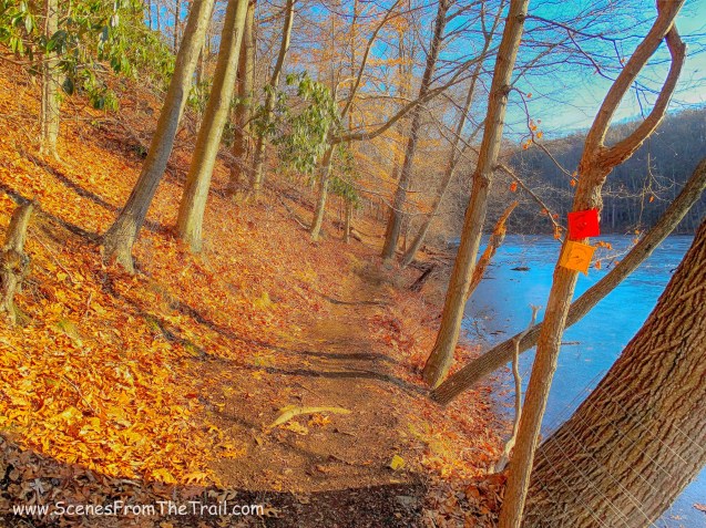 Twin Lakes Loop trail