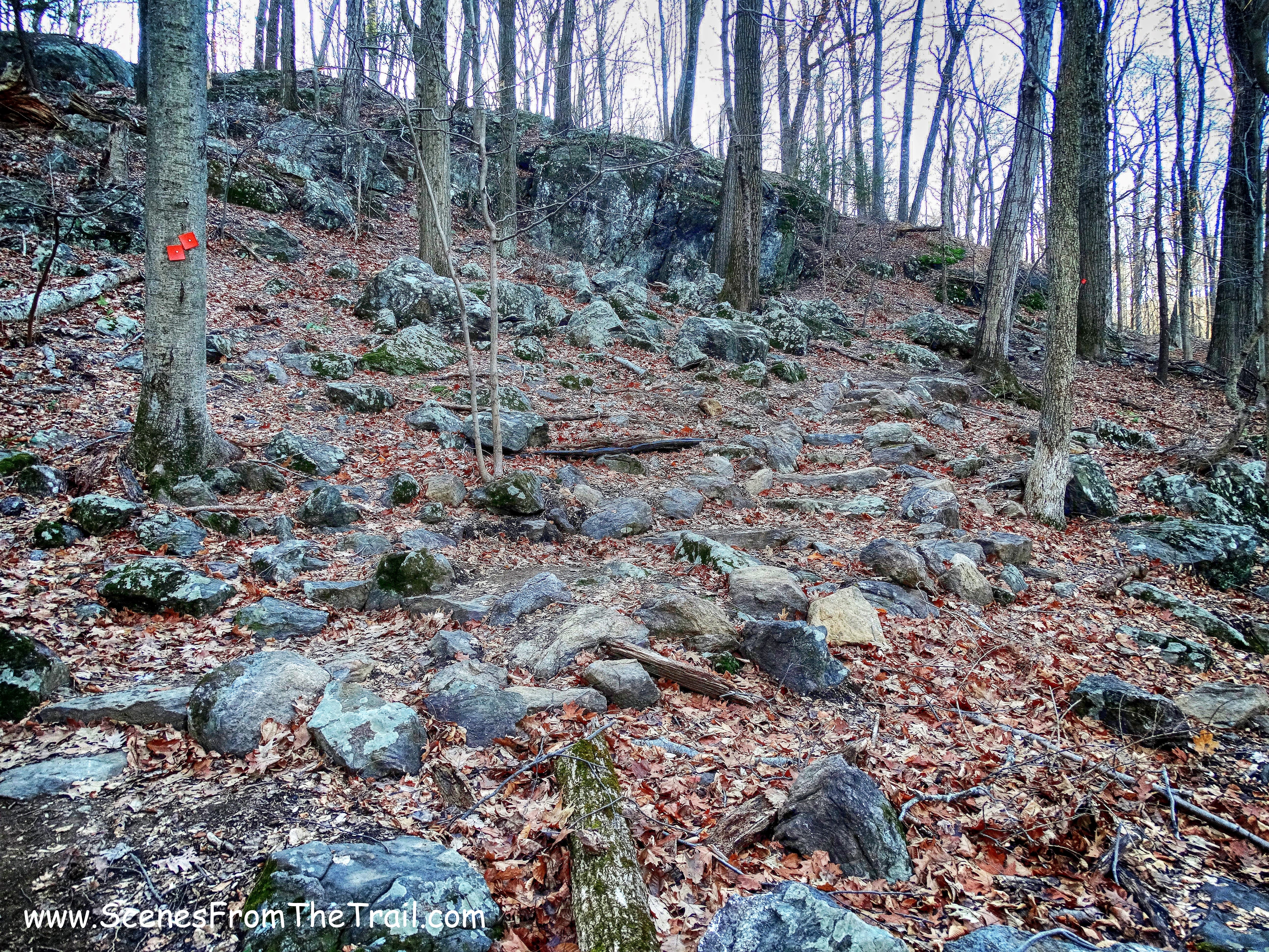 Twin Lakes Loop