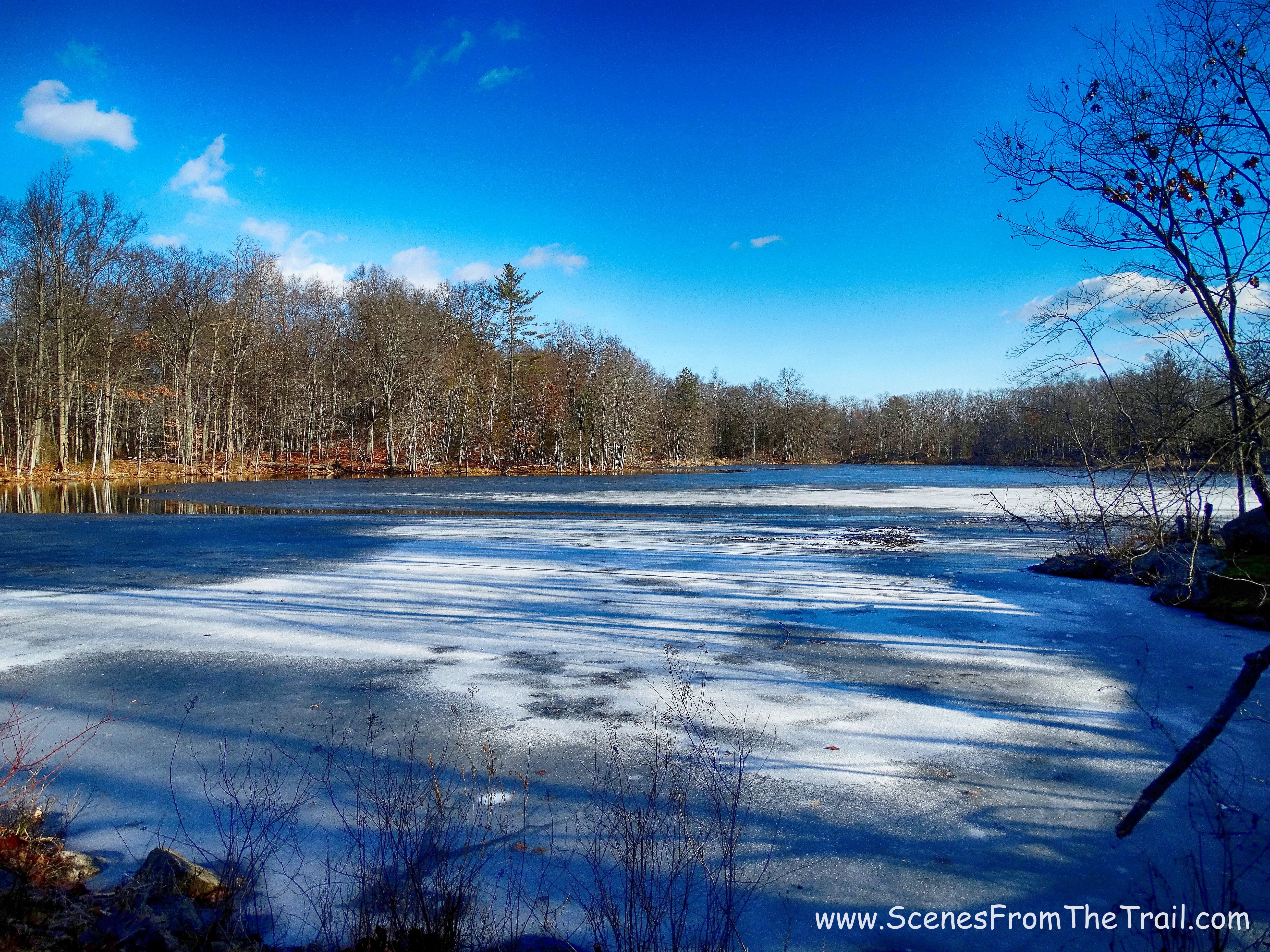 Shadow Lake
